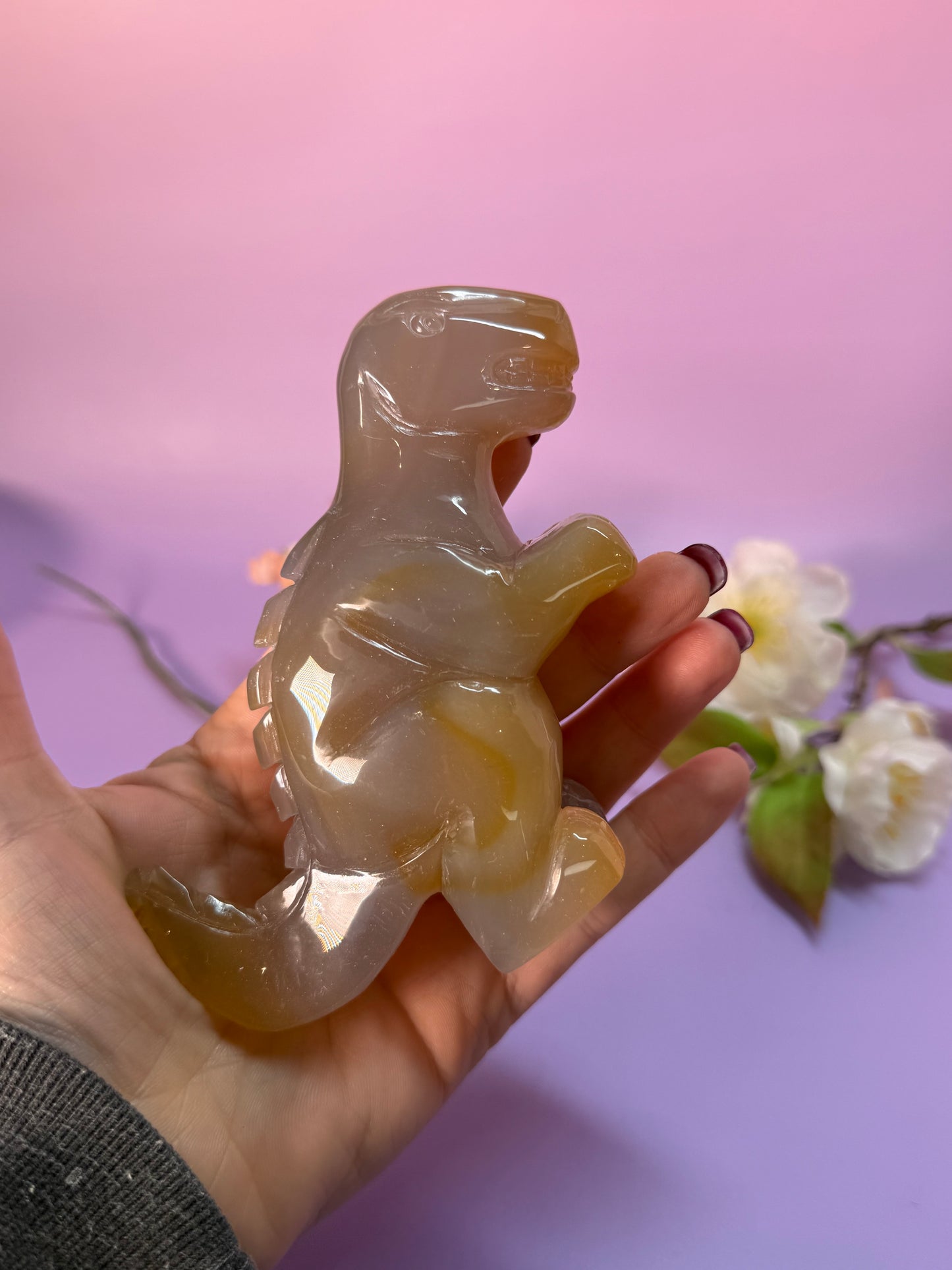 Orcha Achat Dino Nr. 99A