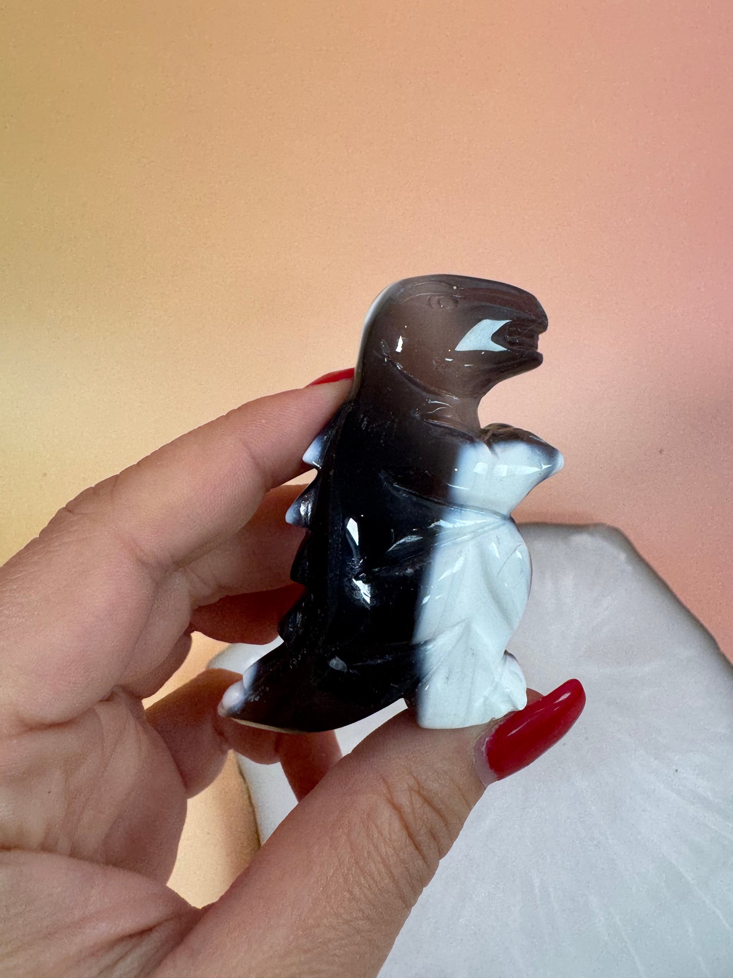 Orcha Achat Dino Nr. 99