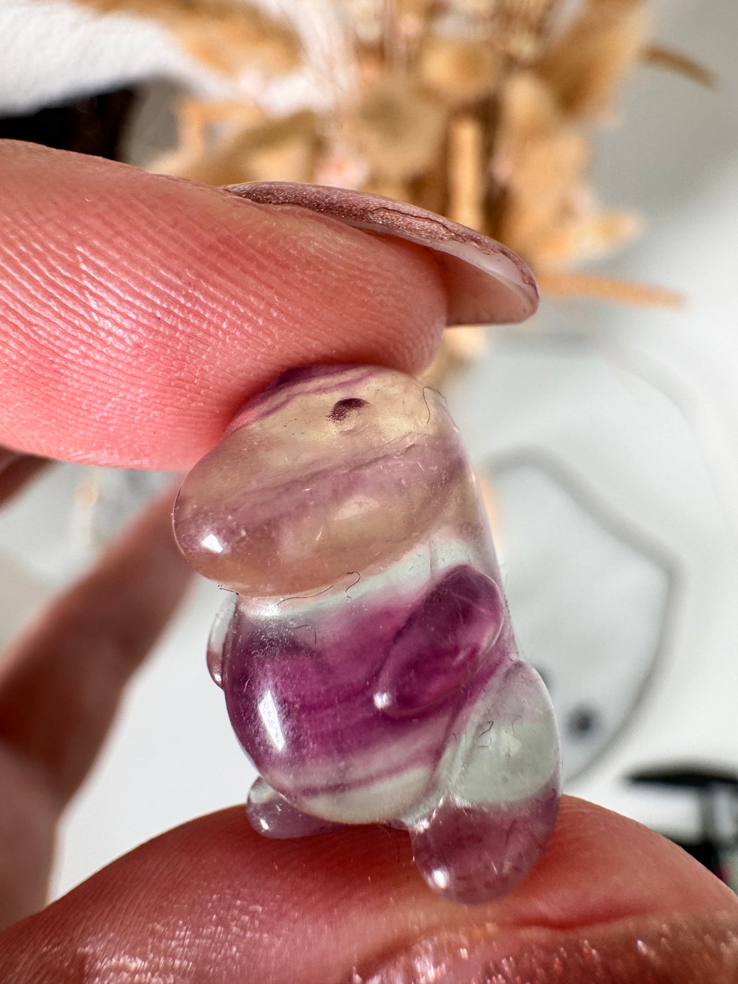 Mystery Mini Fluorit Dino