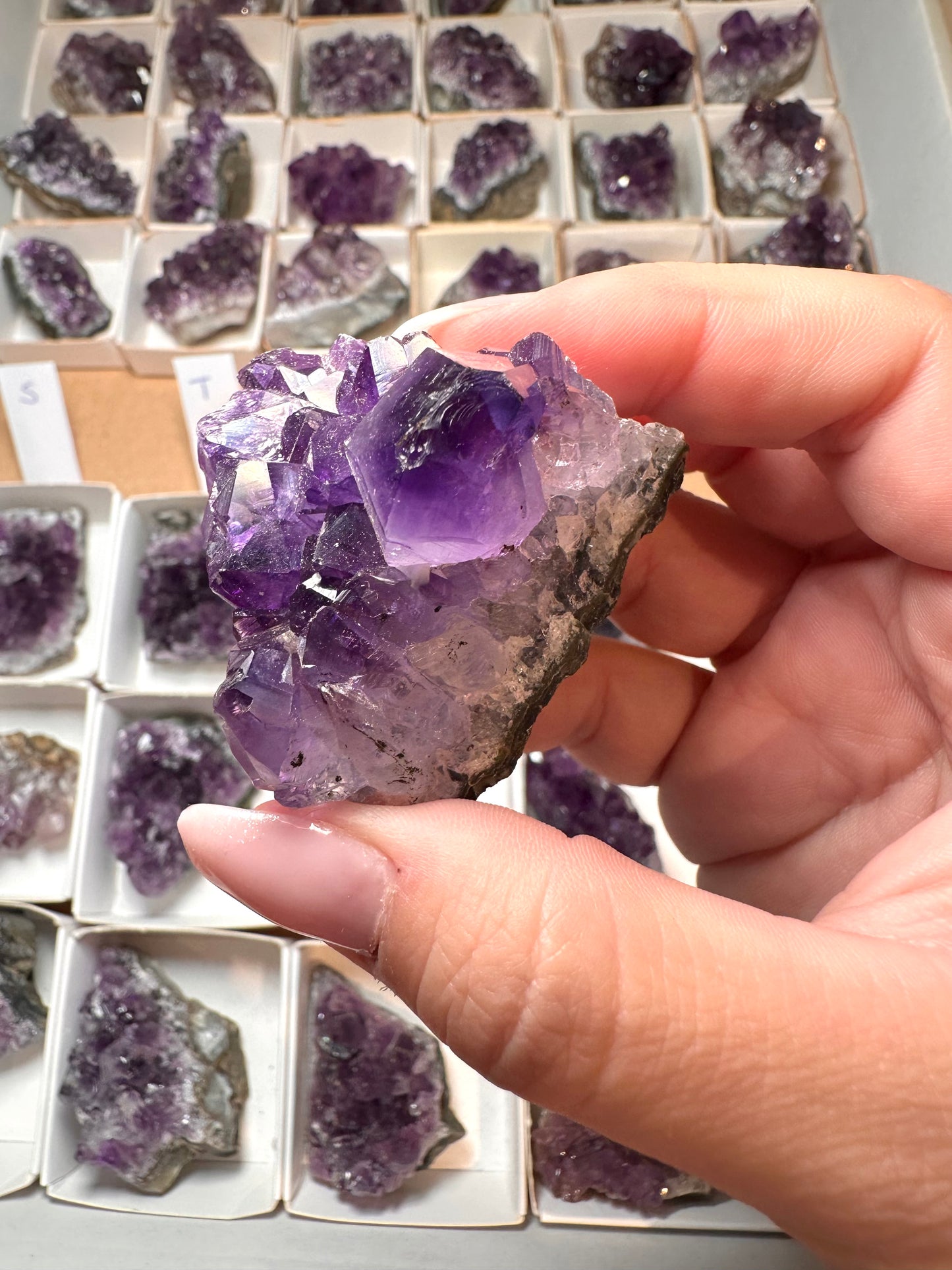 Amethyst Cluster Uruguay