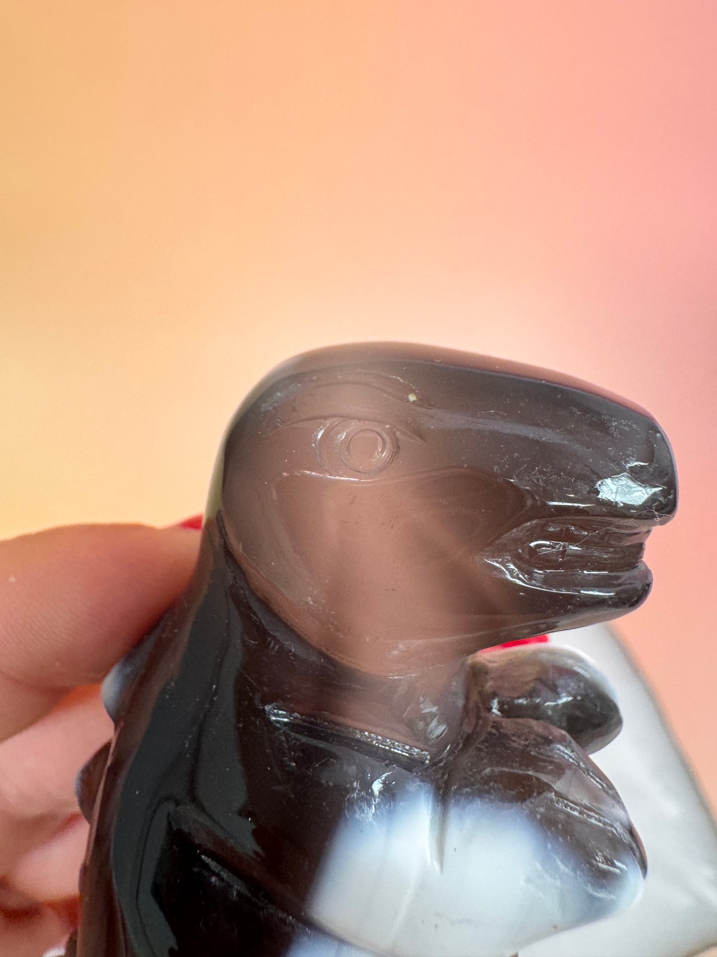 Orcha Achat Dino Nr. 99