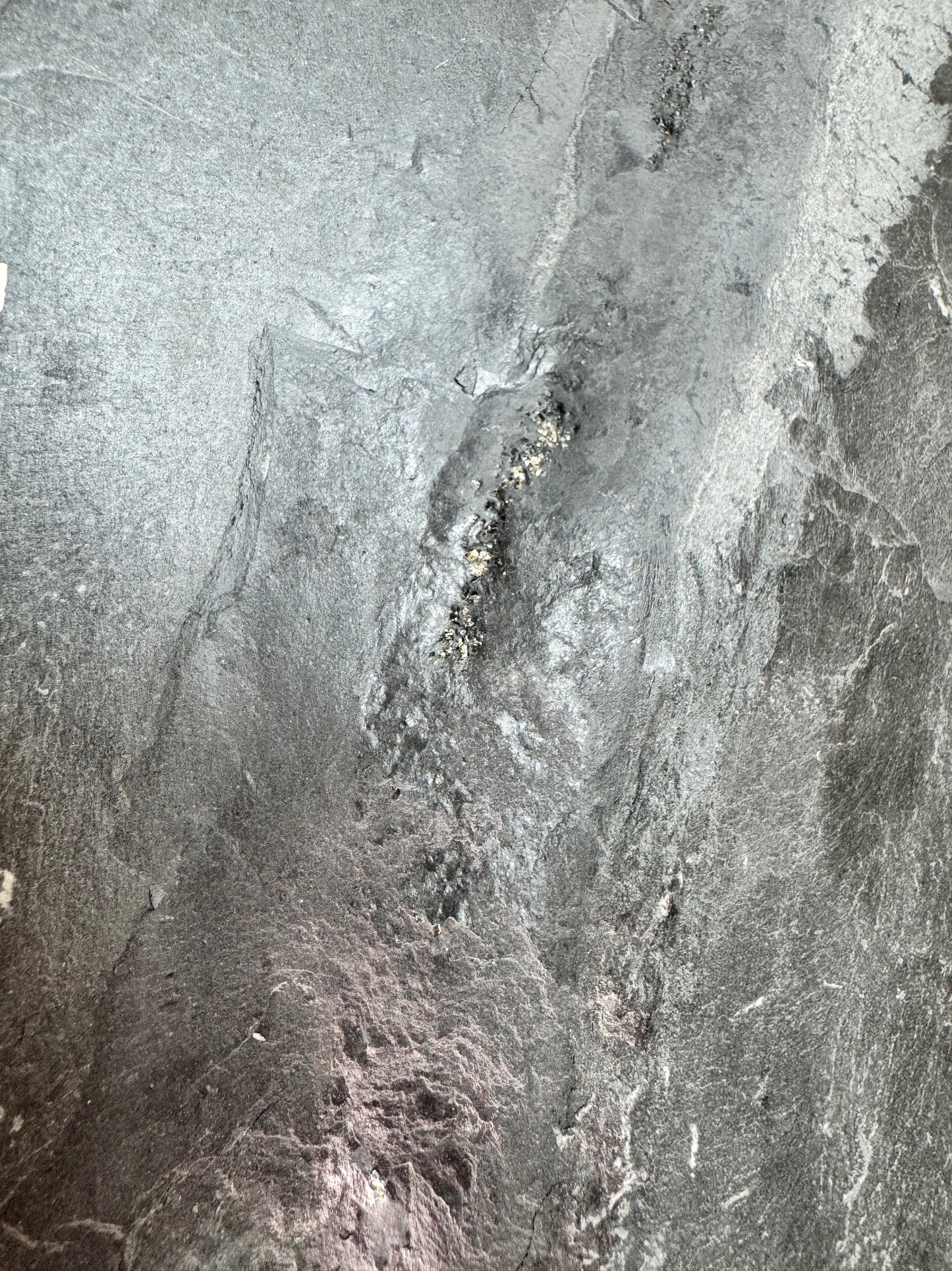 Pyrit auf Schiefer