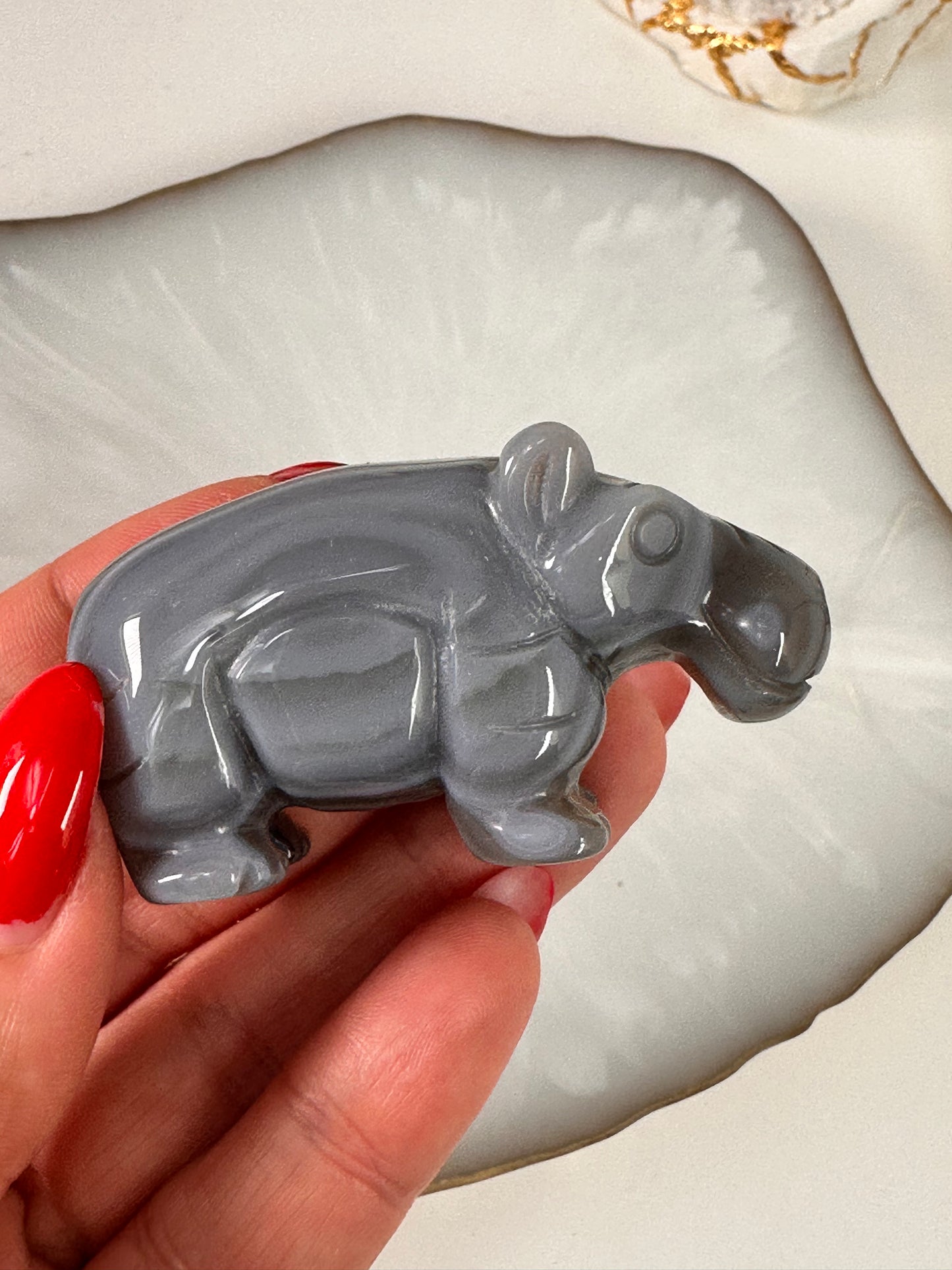 Achat Hippo 28D