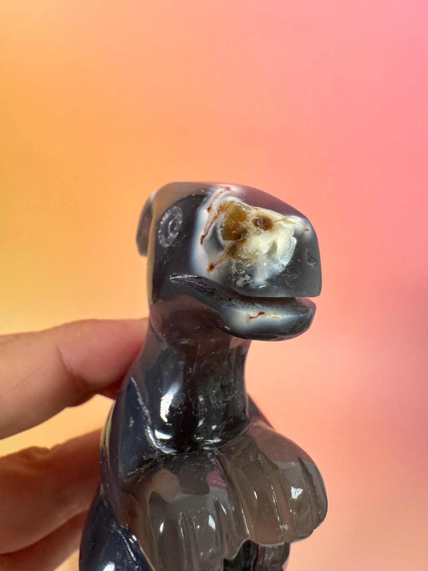 Orcha Achat Dino Nr. 100