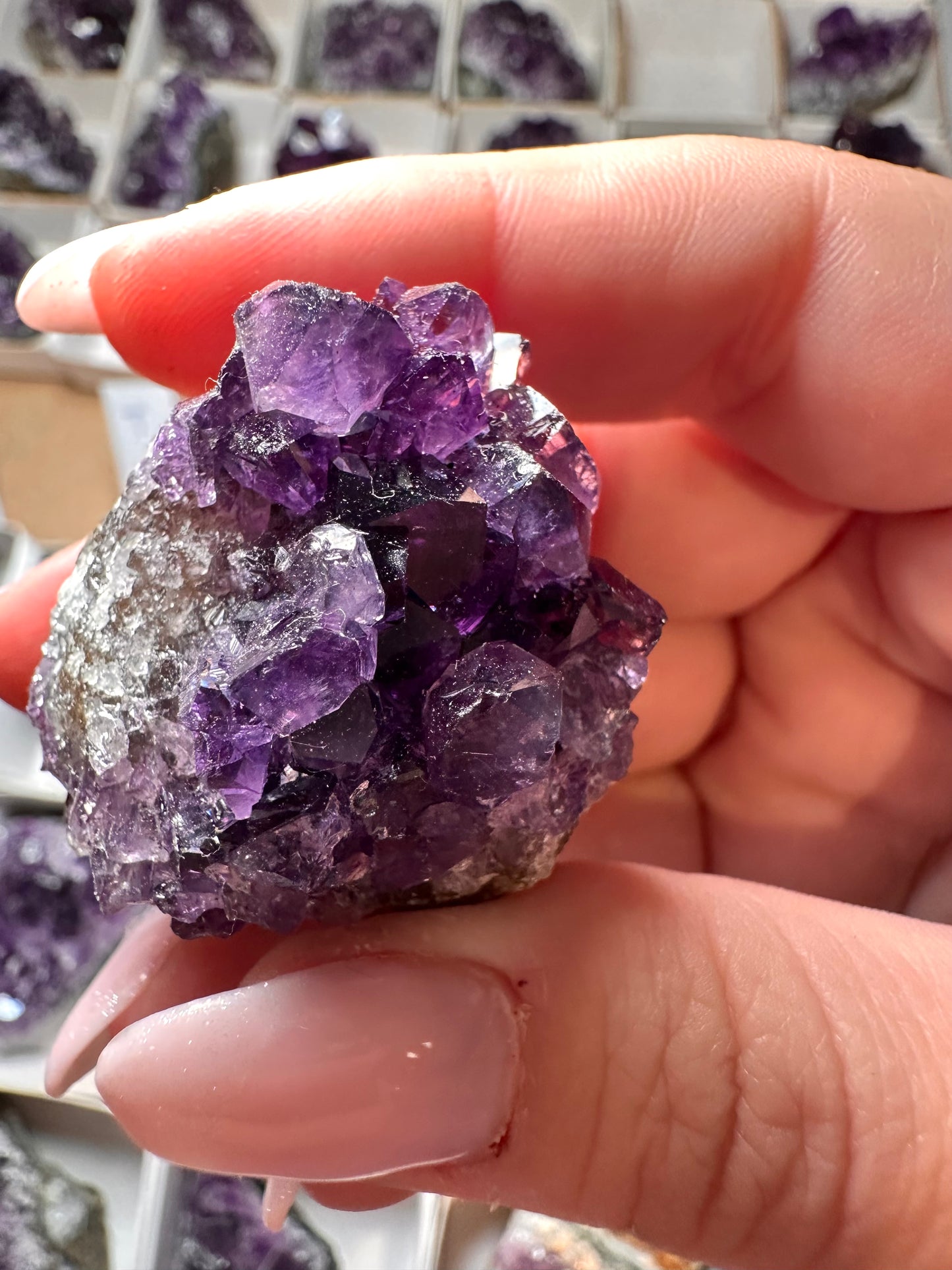 Amethyst Cluster Uruguay