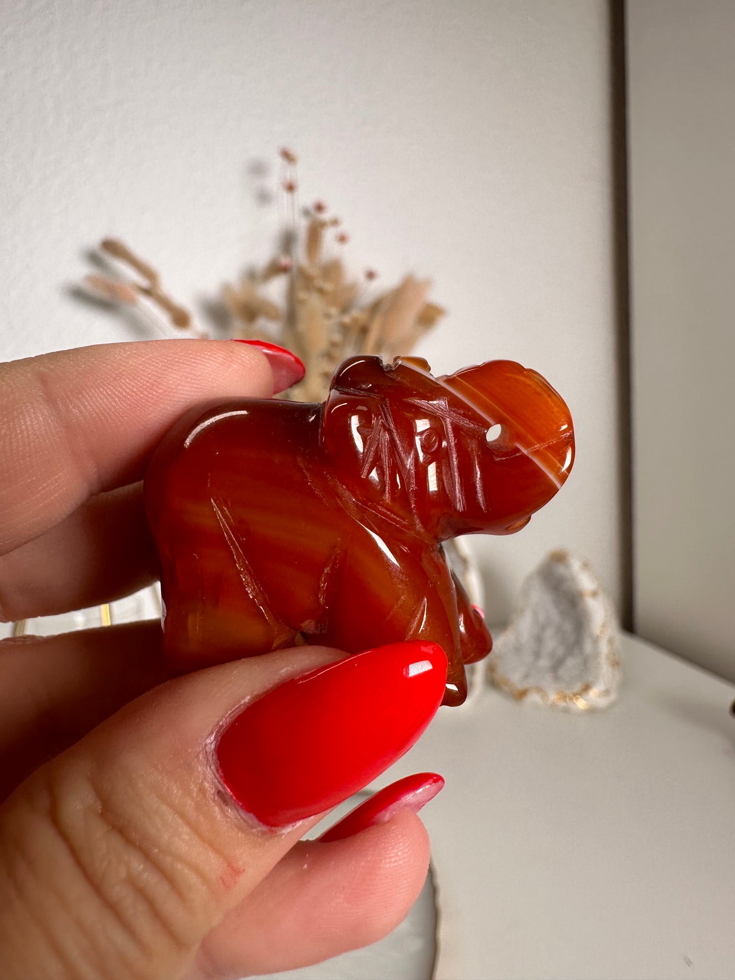 Karneol Elefant 14L
