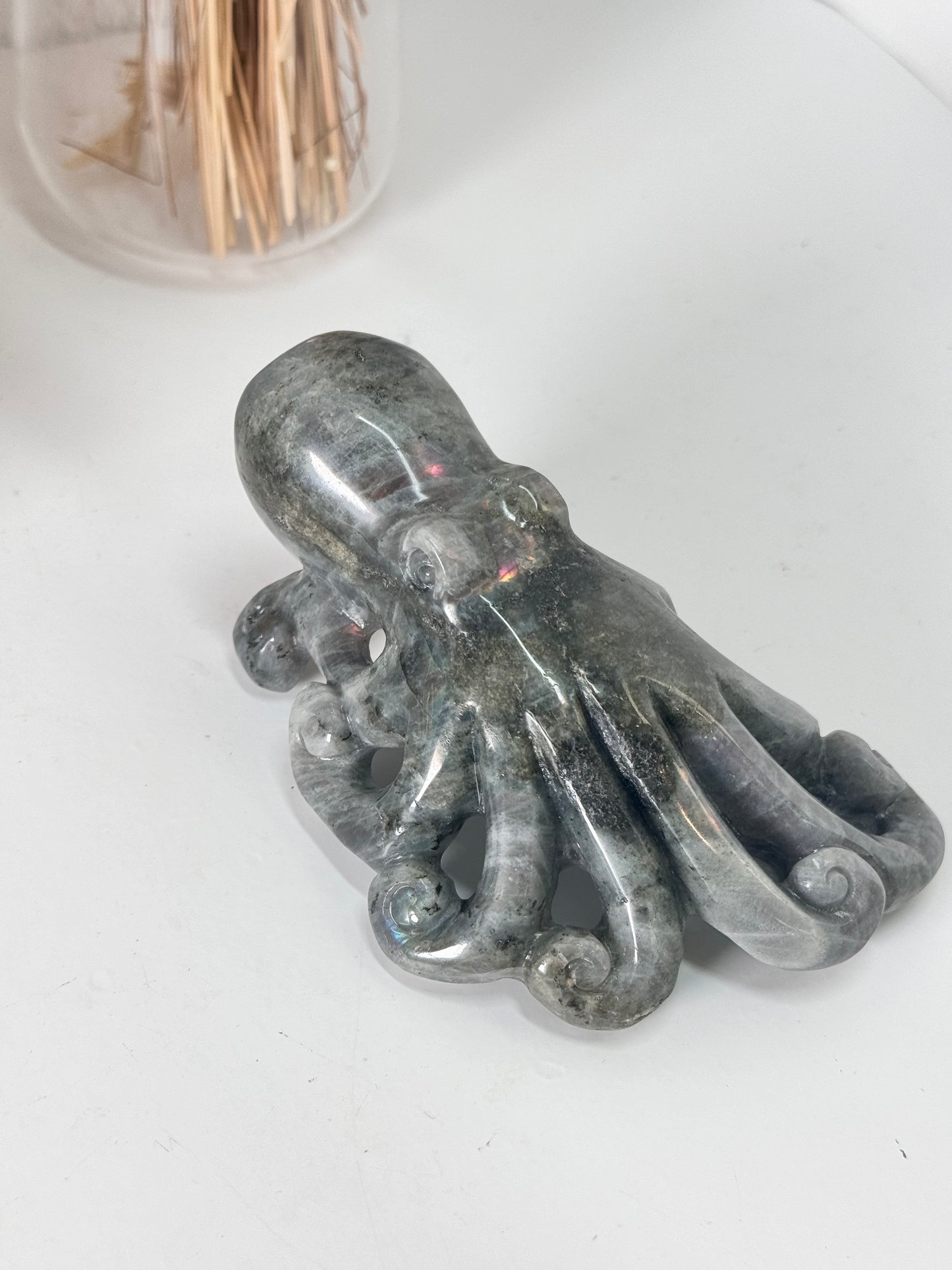 Labradorit Oktopus