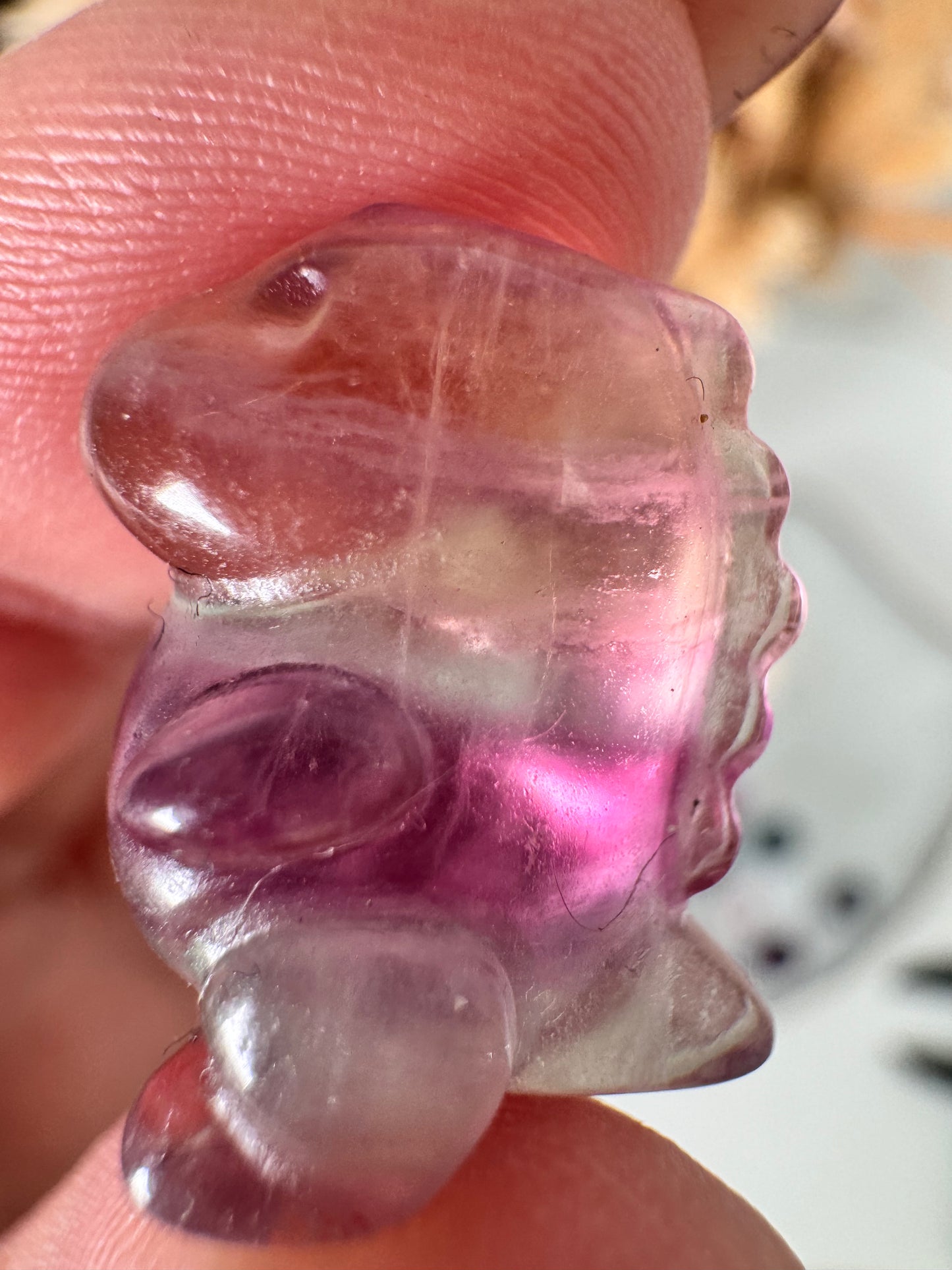 Mystery Mini Fluorit Dino