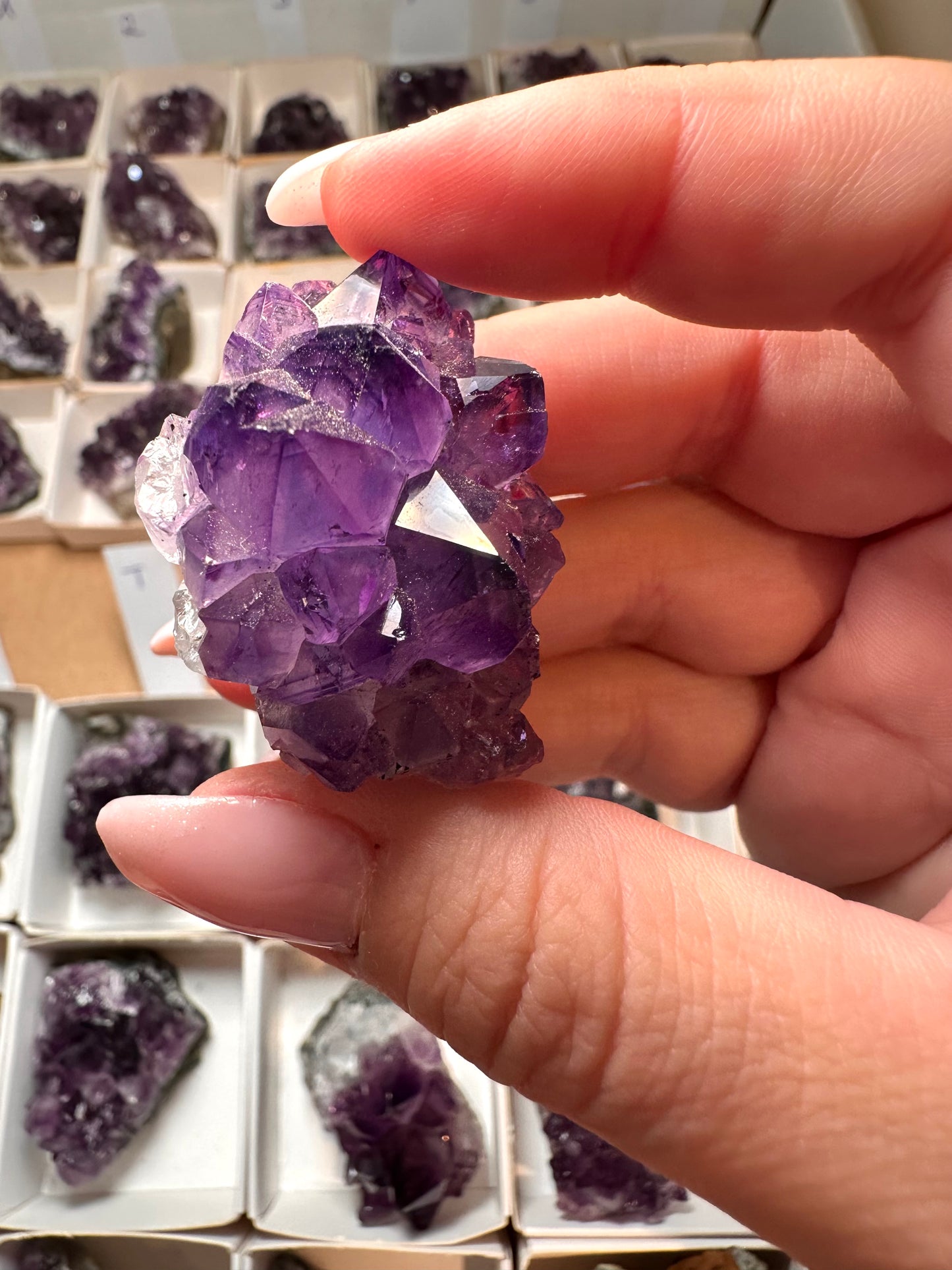 Amethyst Cluster Uruguay