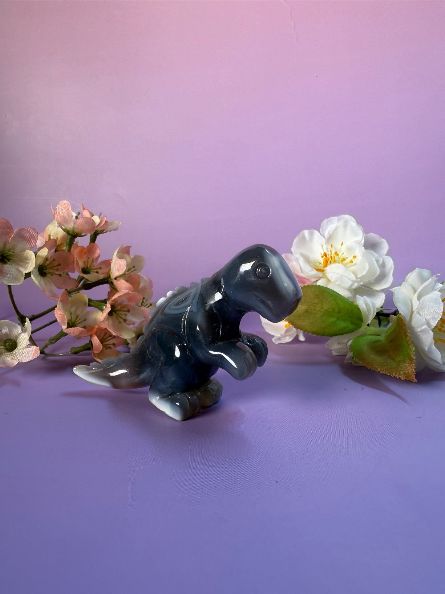 Orcha Achat Dino Nr. 42C