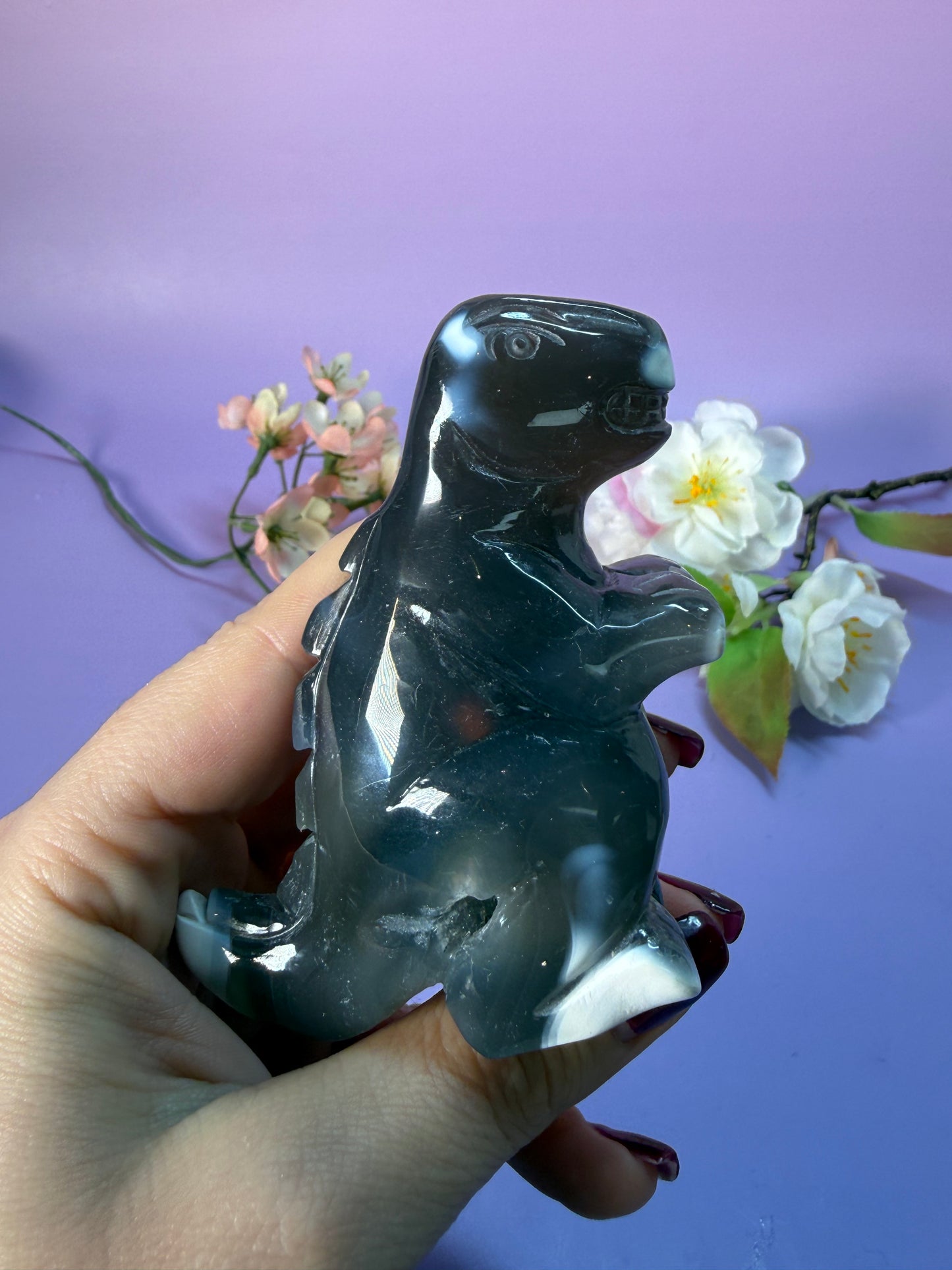 Orcha Achat Dino Nr. 49Z