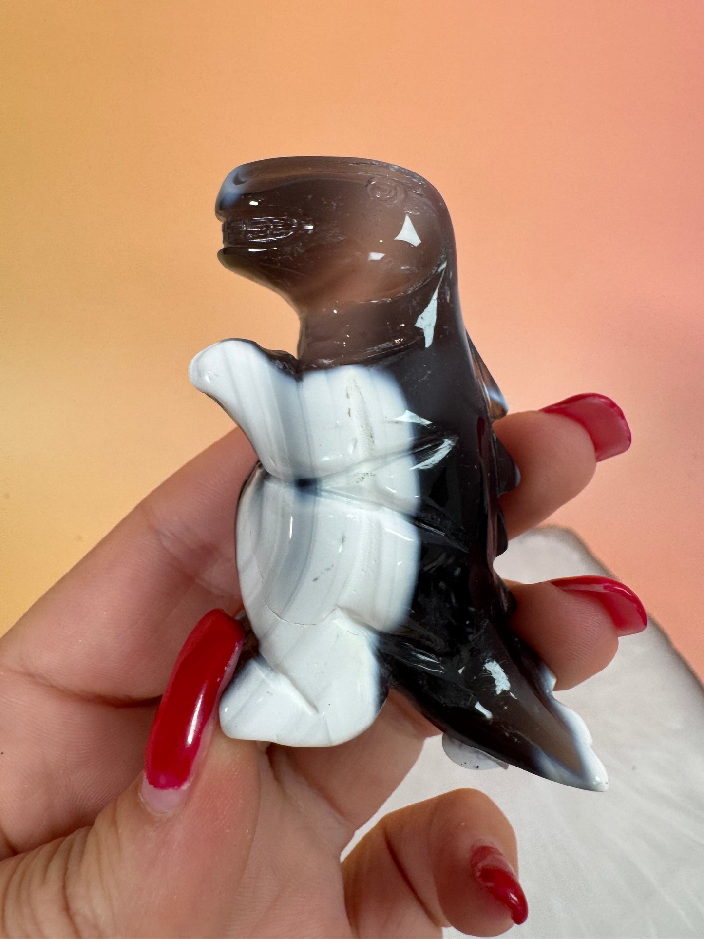 Orcha Achat Dino Nr. 99