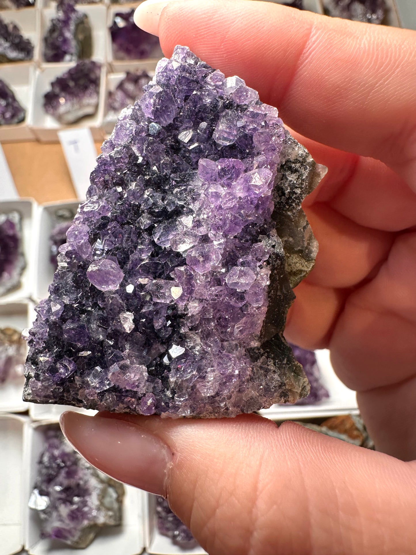 Amethyst Cluster Uruguay