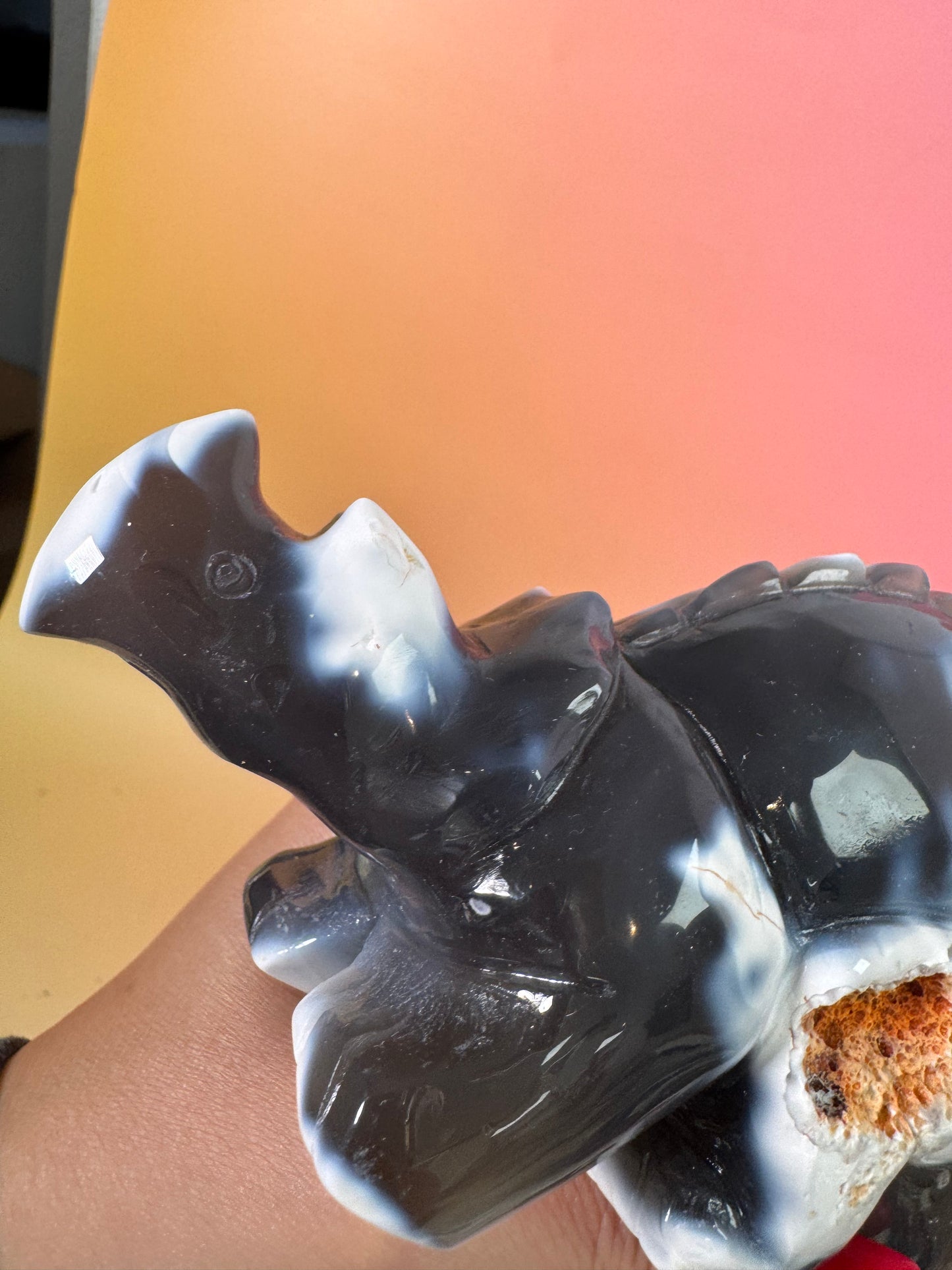 Orcha Achat Dino Nr. 54