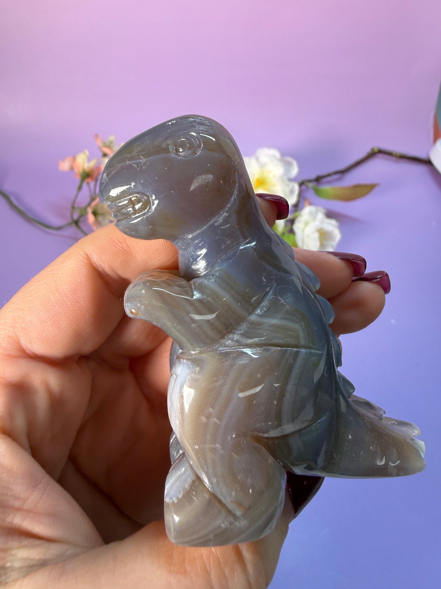 Orcha Achat Dino Nr. 45Z