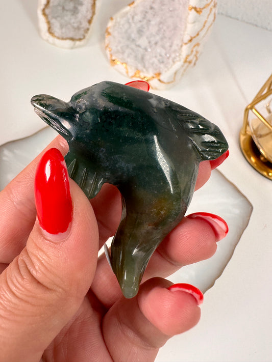 Moos Achat Delfin 19K