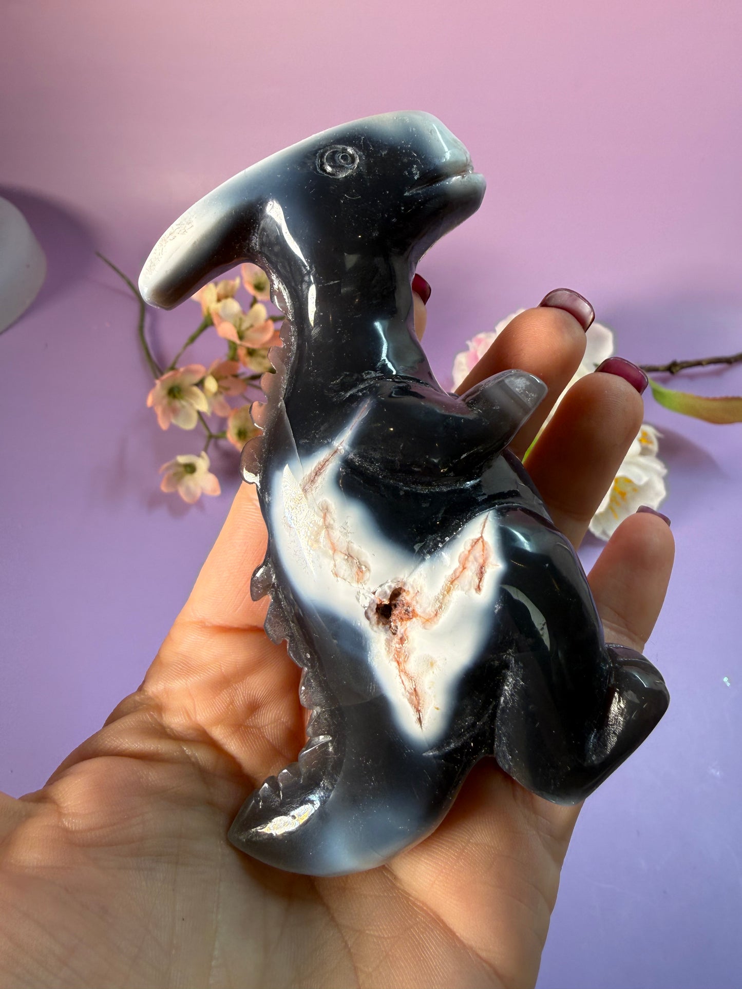 Orcha Achat Dino Nr. 79A