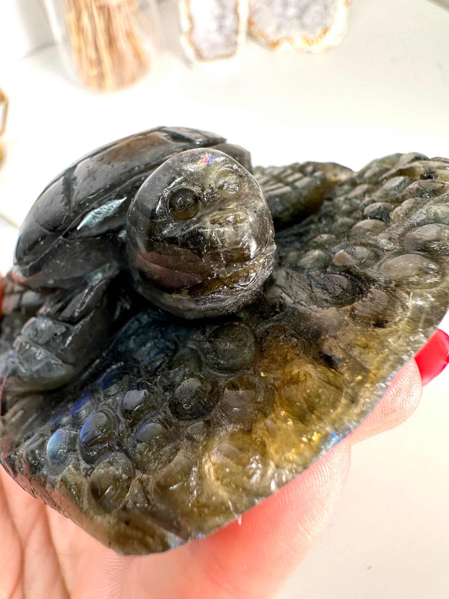 Labradorit Schildkröte 69B