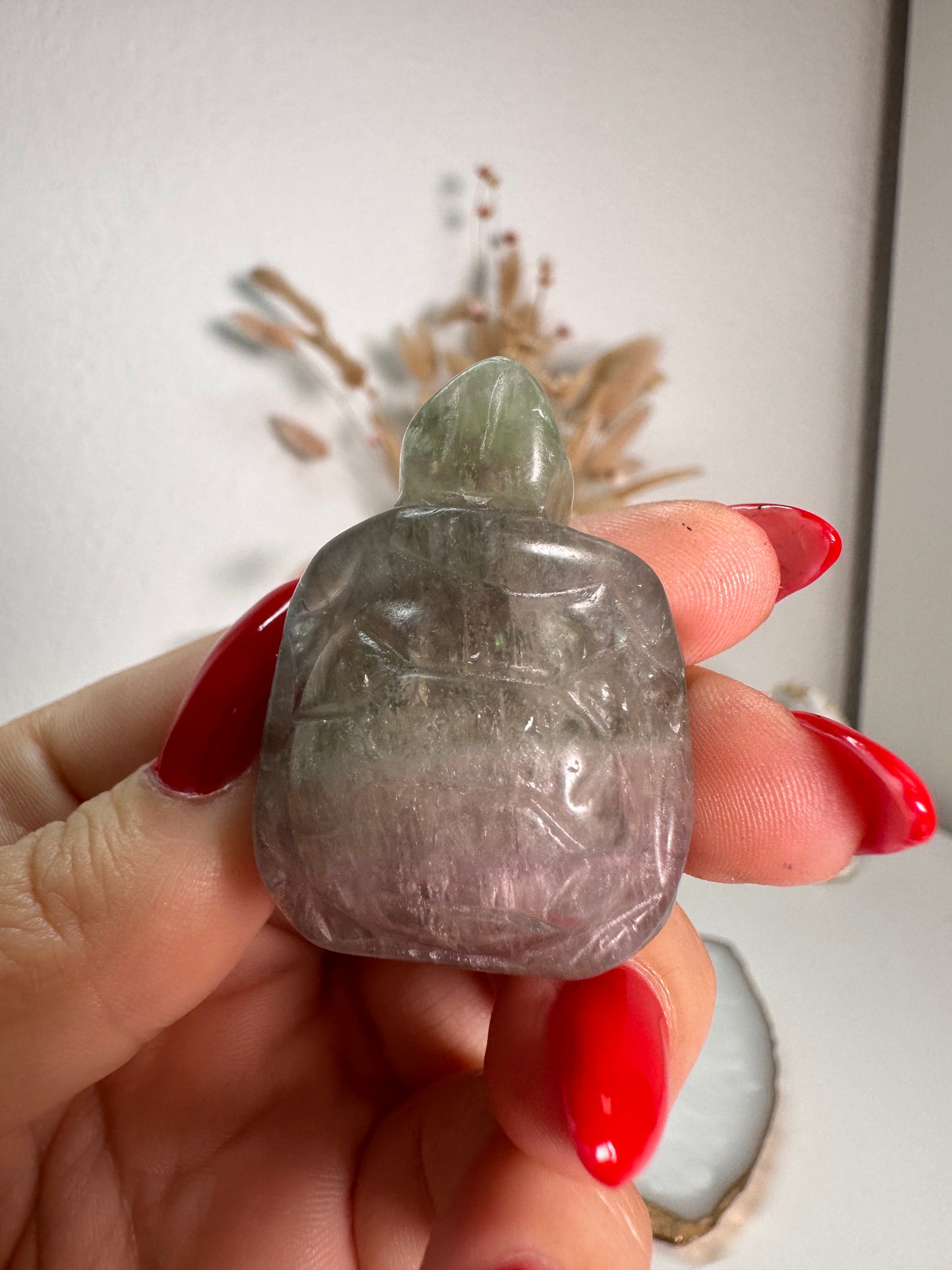 Fluorit Schildkröte 12U