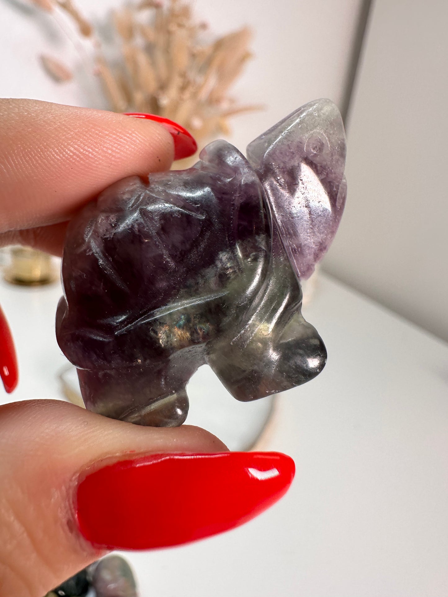 Fluorit Schildkröte 12P