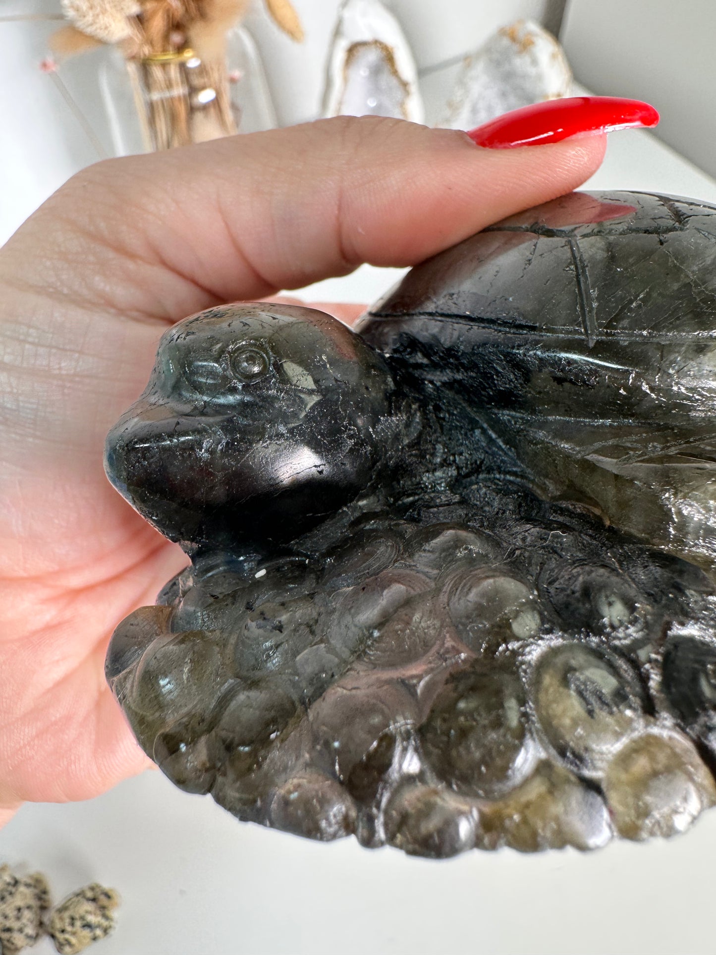 Labradorit Schildkröte 69F