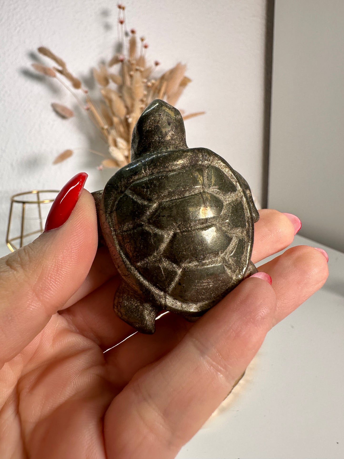 Pyrit Schildkröte 22I