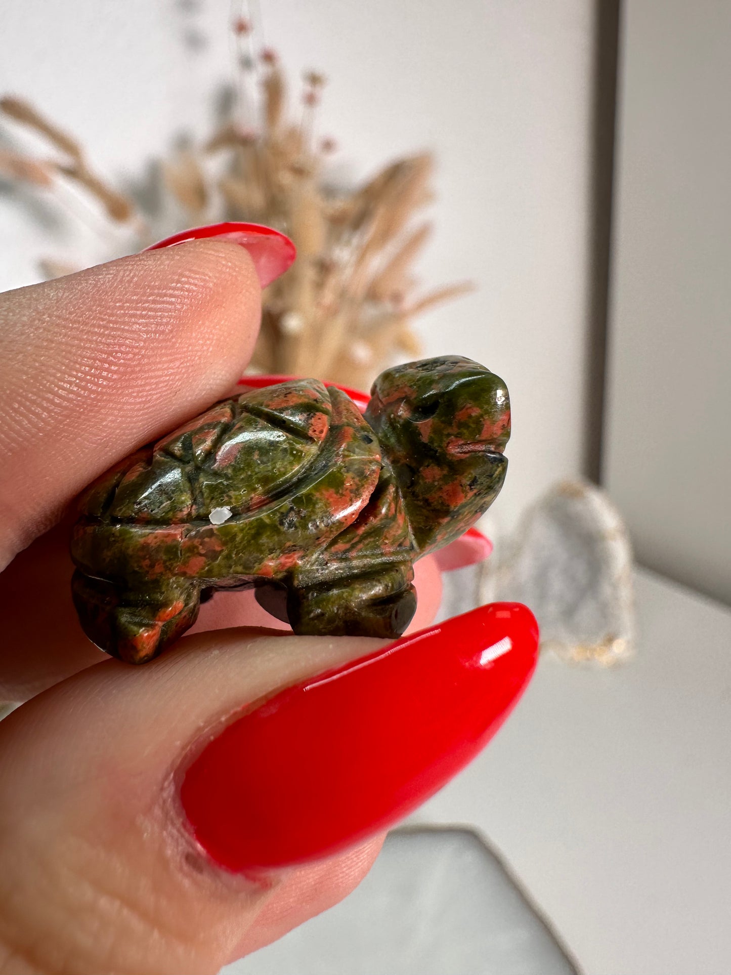 Mini Unakit Schildkröte 6H