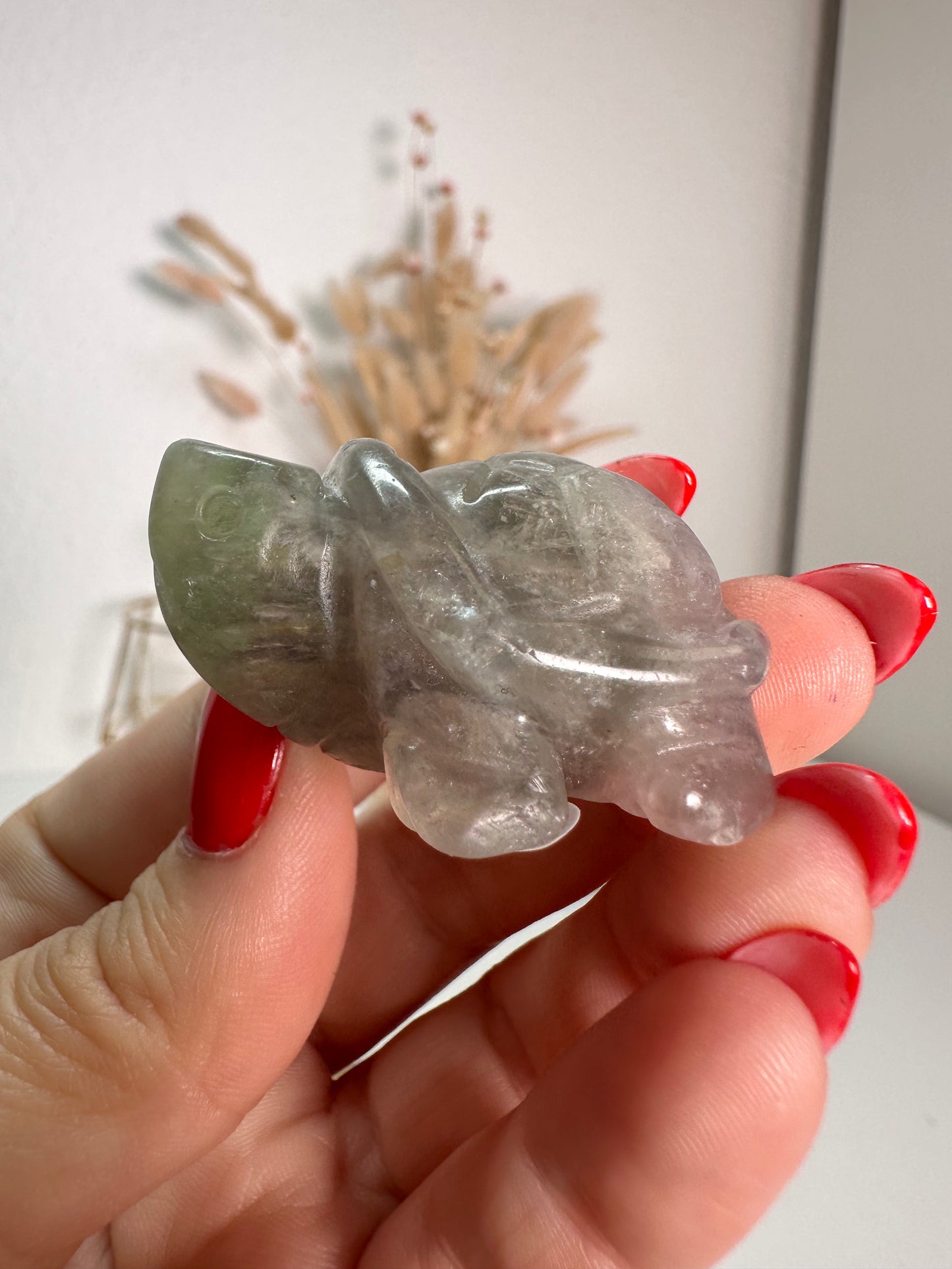 Fluorit Schildkröte 12U