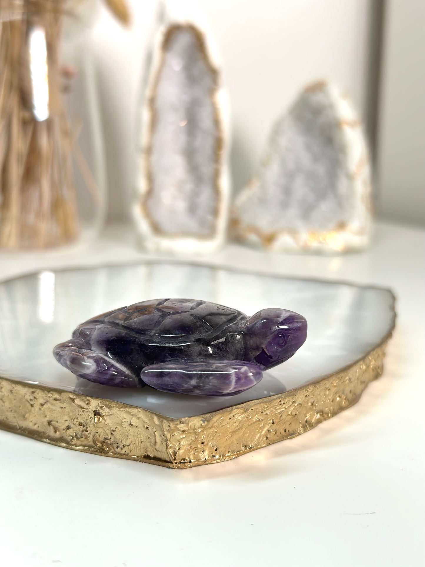Chevron Amethyst Schildkröte 21C