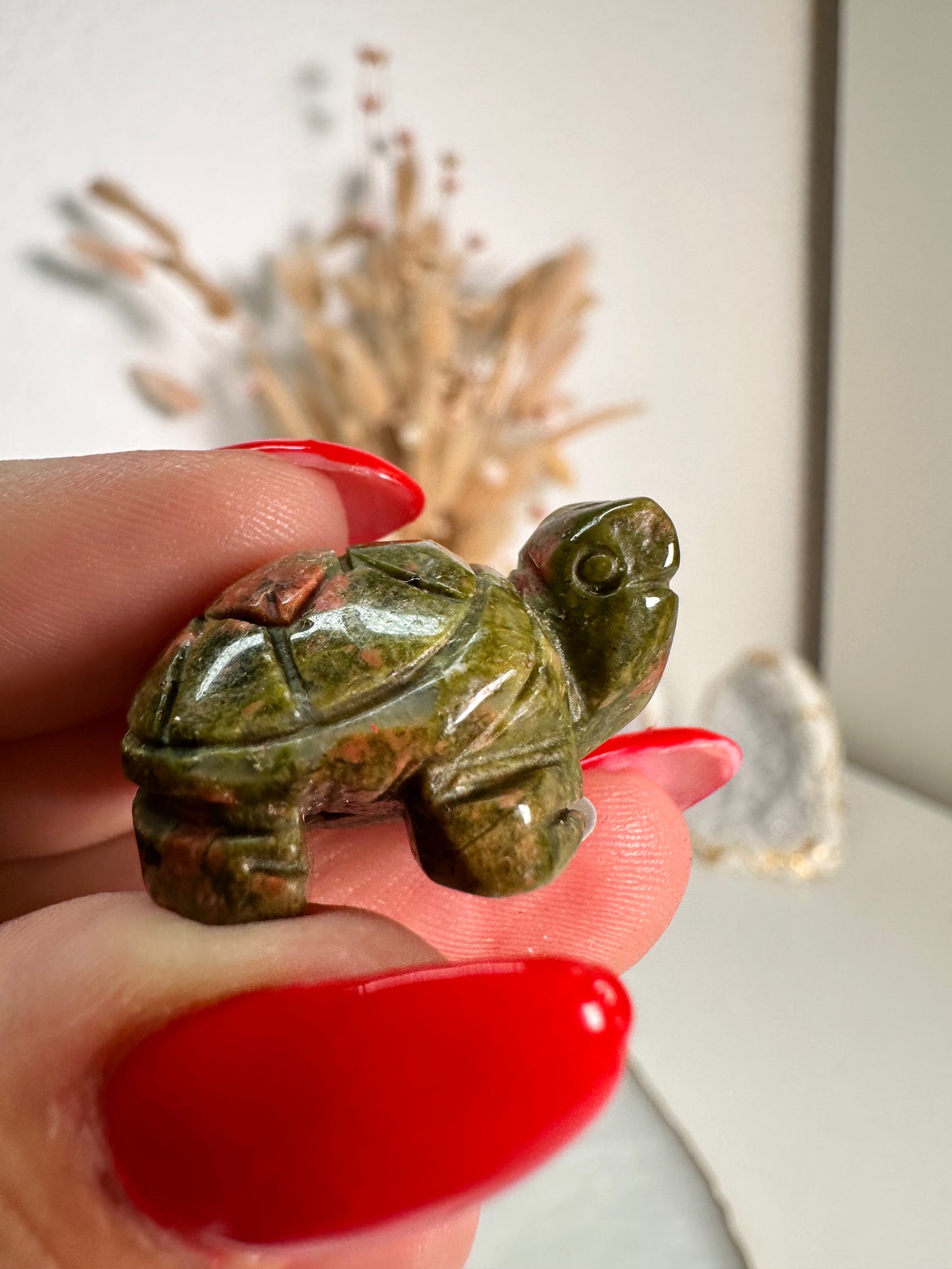 Mini Unakit Schildkröte 6N