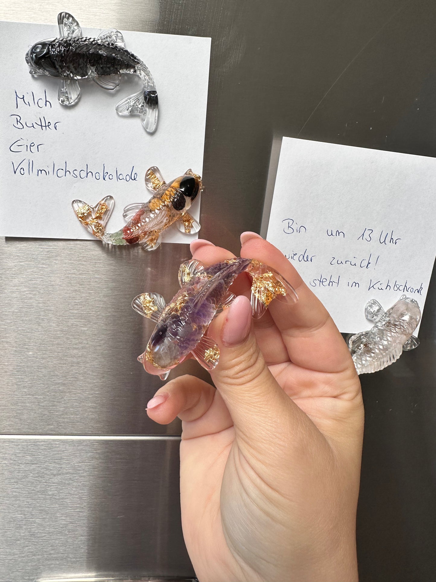 Kühlschrank Magnet Koi