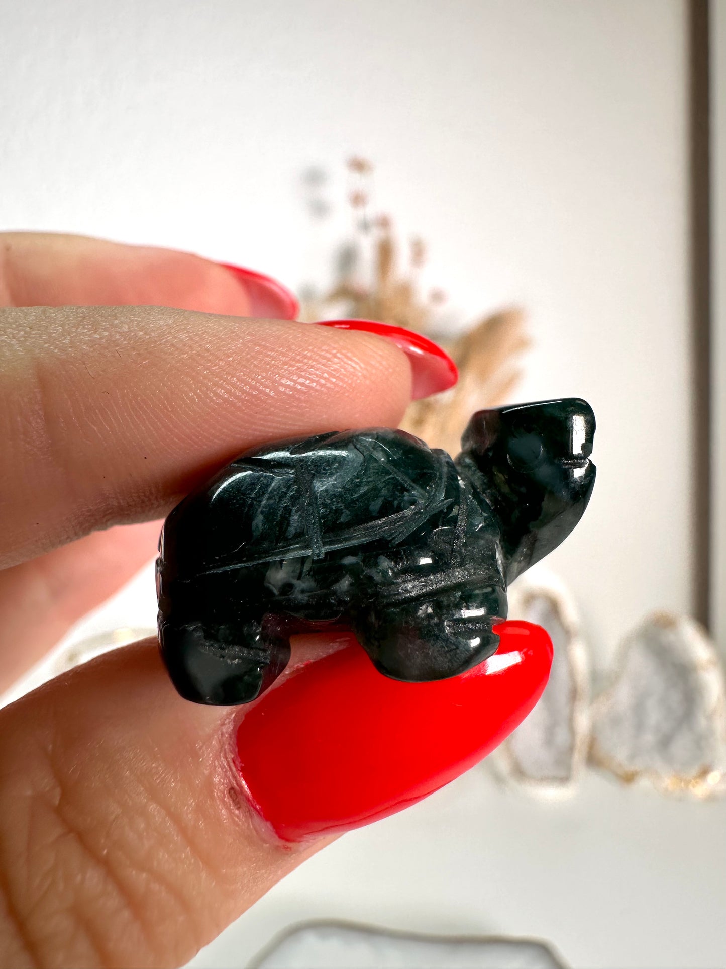 Mini Moos Achat Schildkröte 6A
