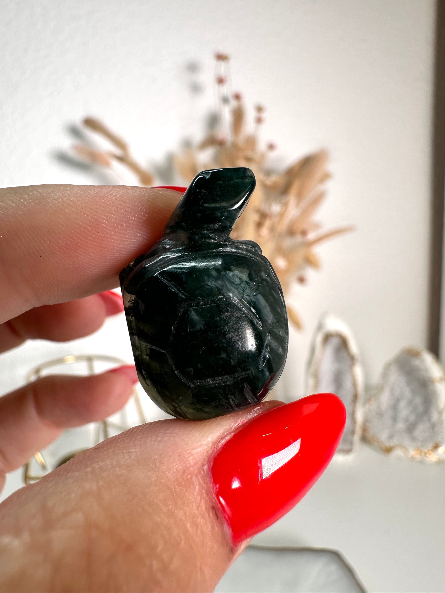 Mini Moos Achat Schildkröte 6A