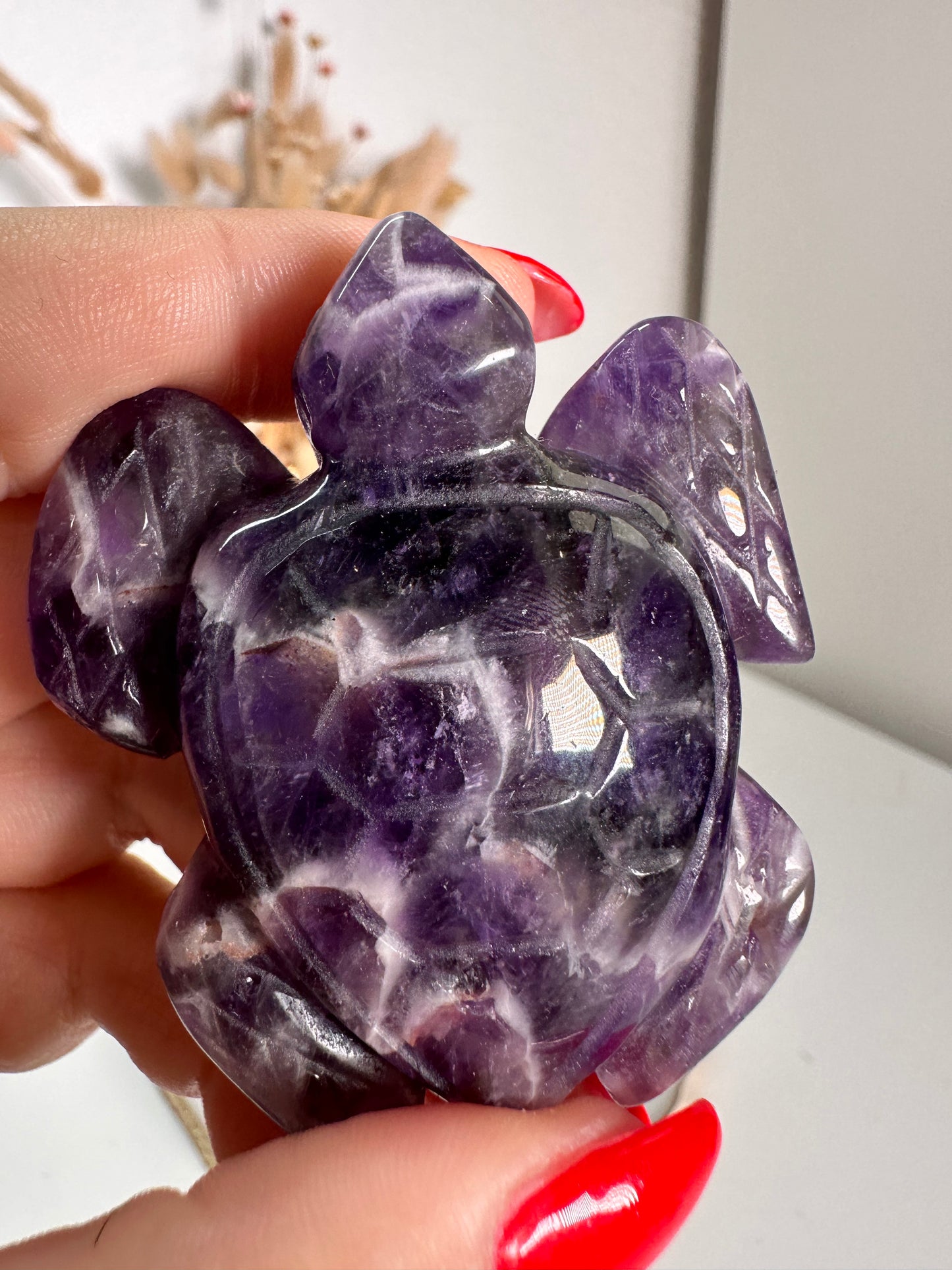 Chevron Amethyst Schildkröte 21C