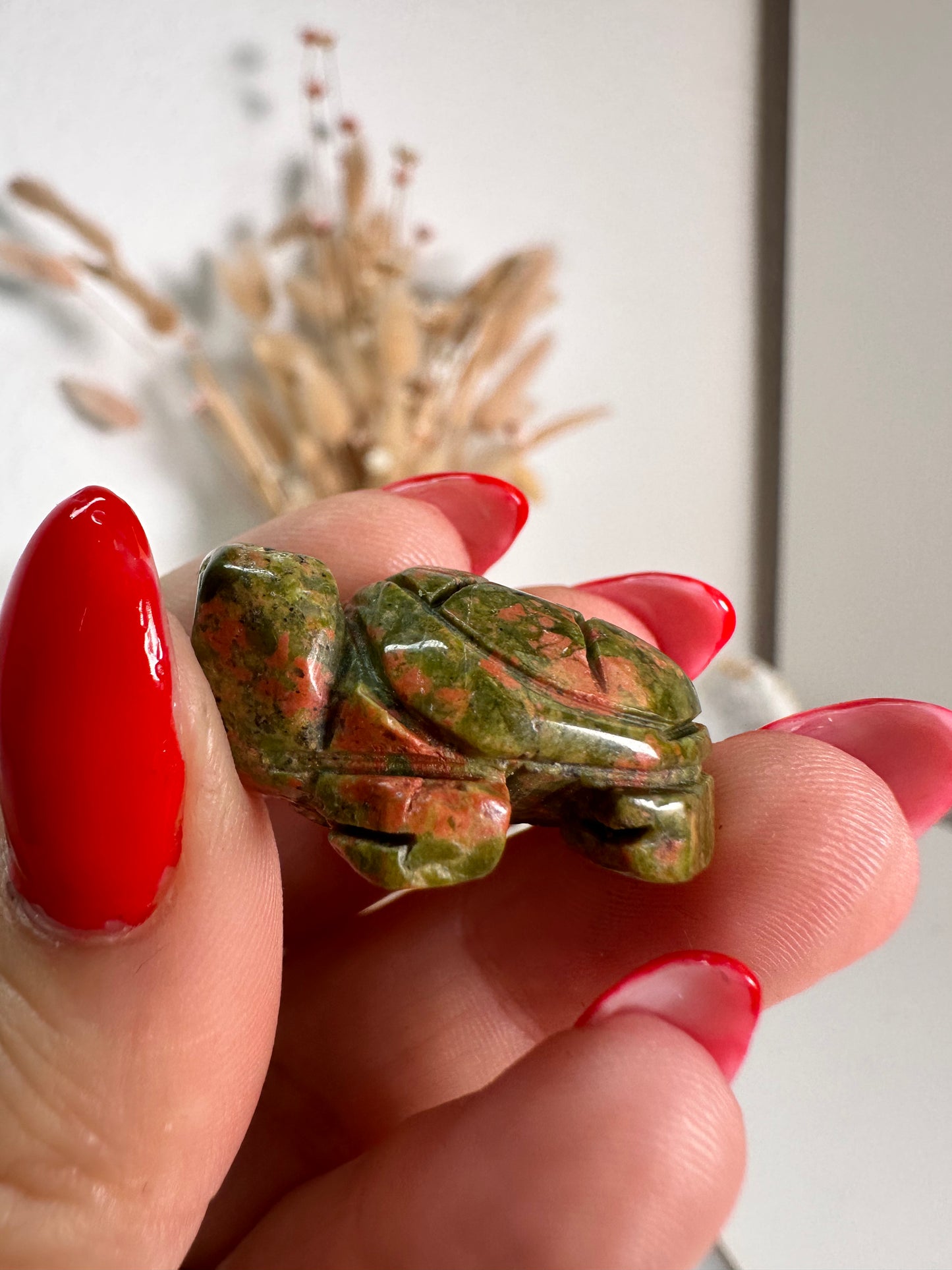 Mini Unakit Schildkröte 6H