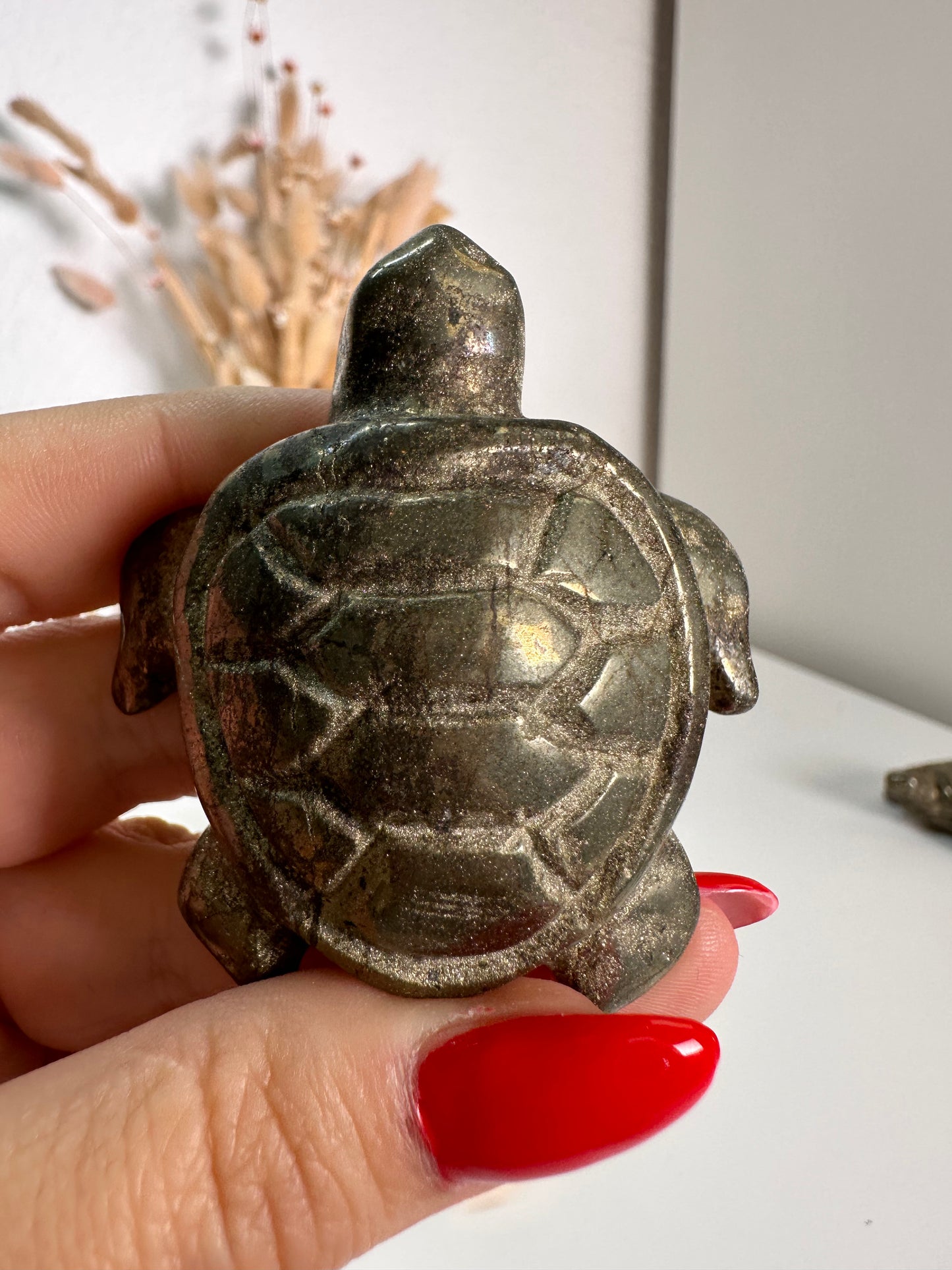Pyrit Schildkröte 22I