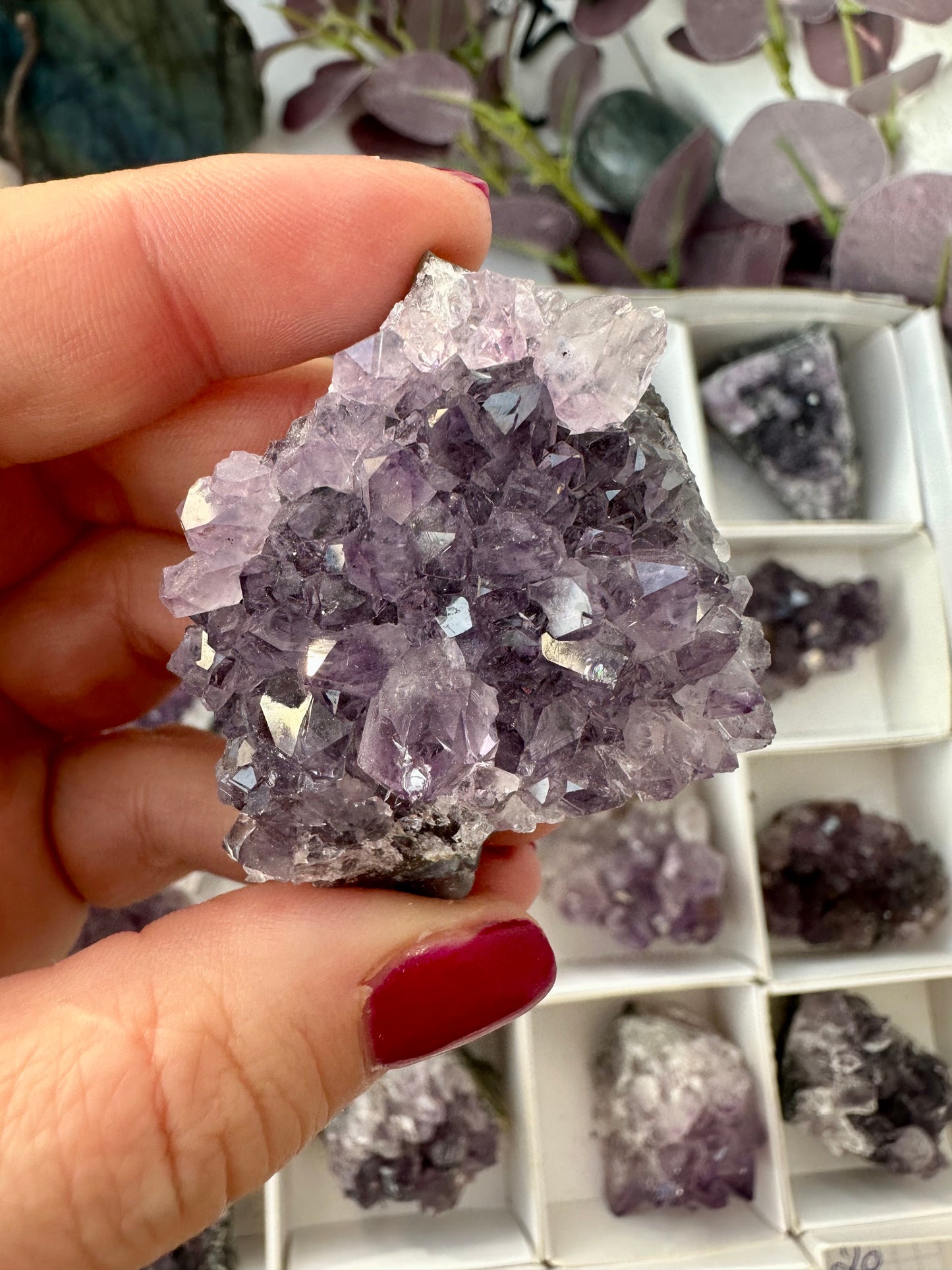 Amethyst Cluster