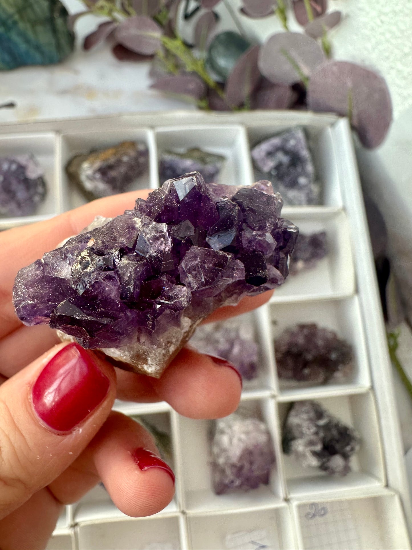 Amethyst Cluster