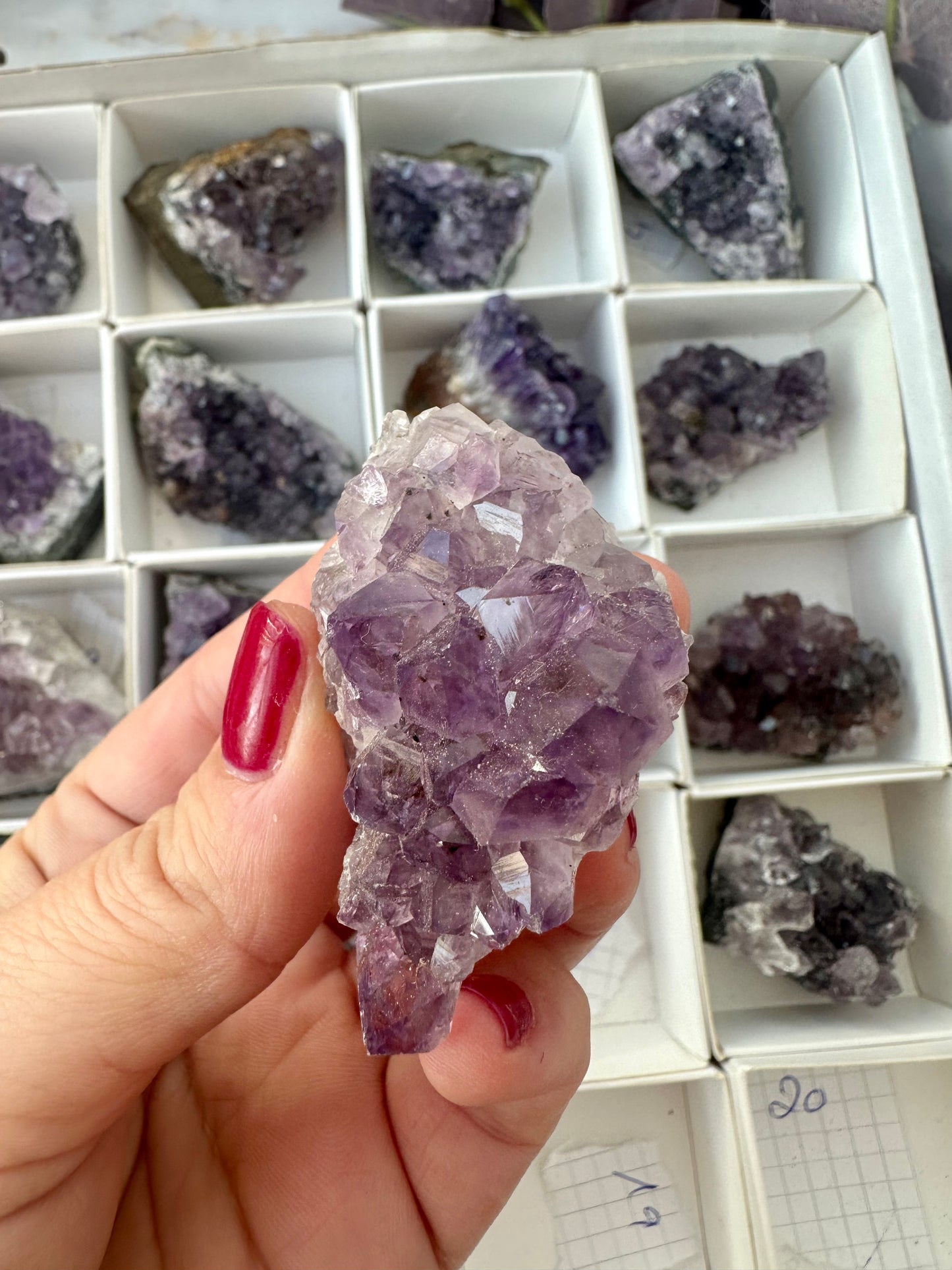 Amethyst Cluster
