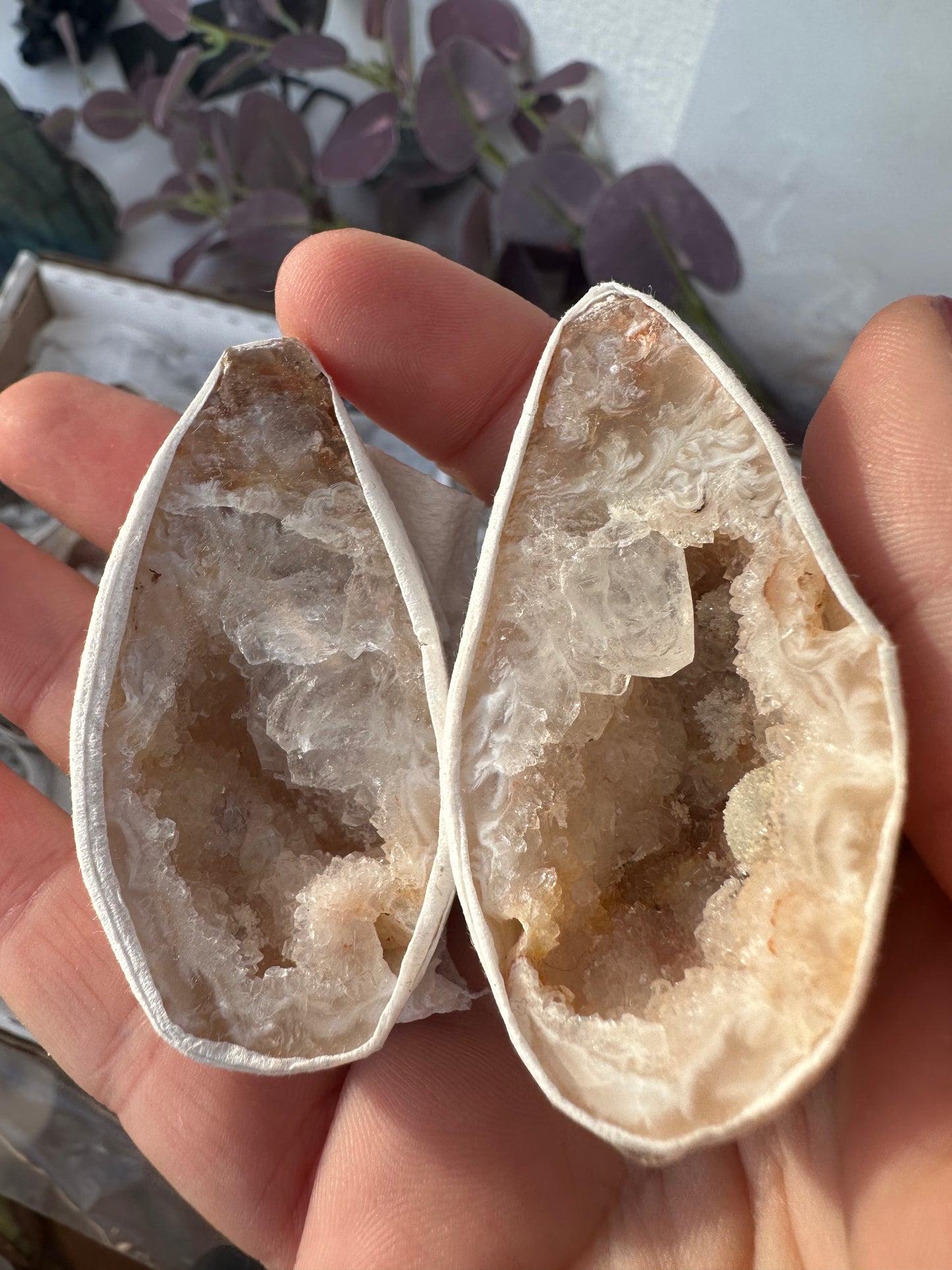 Achat Geoden Paar /Glücksgeode