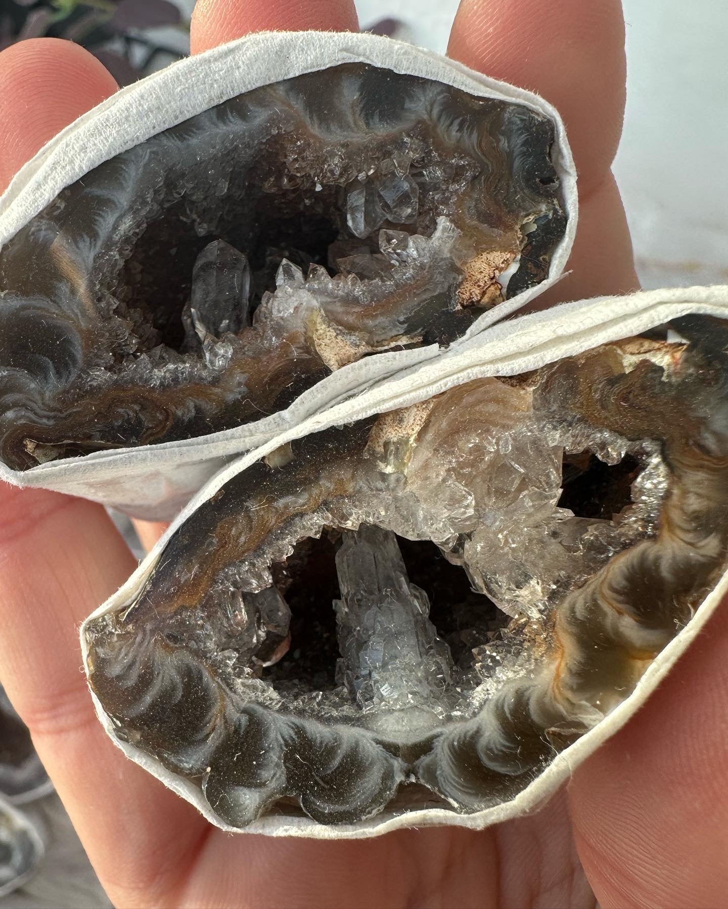 Achat Geoden Paar /Glücksgeode