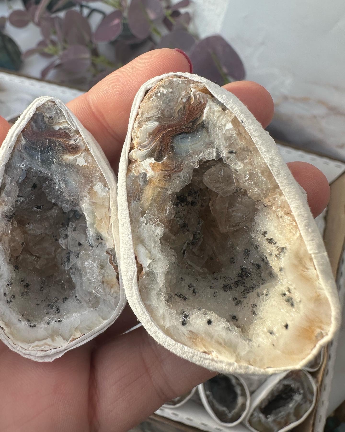 Achat Geoden Paar /Glücksgeode