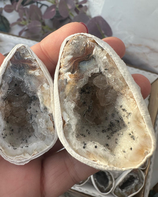 Achat Geoden Paar /Glücksgeode