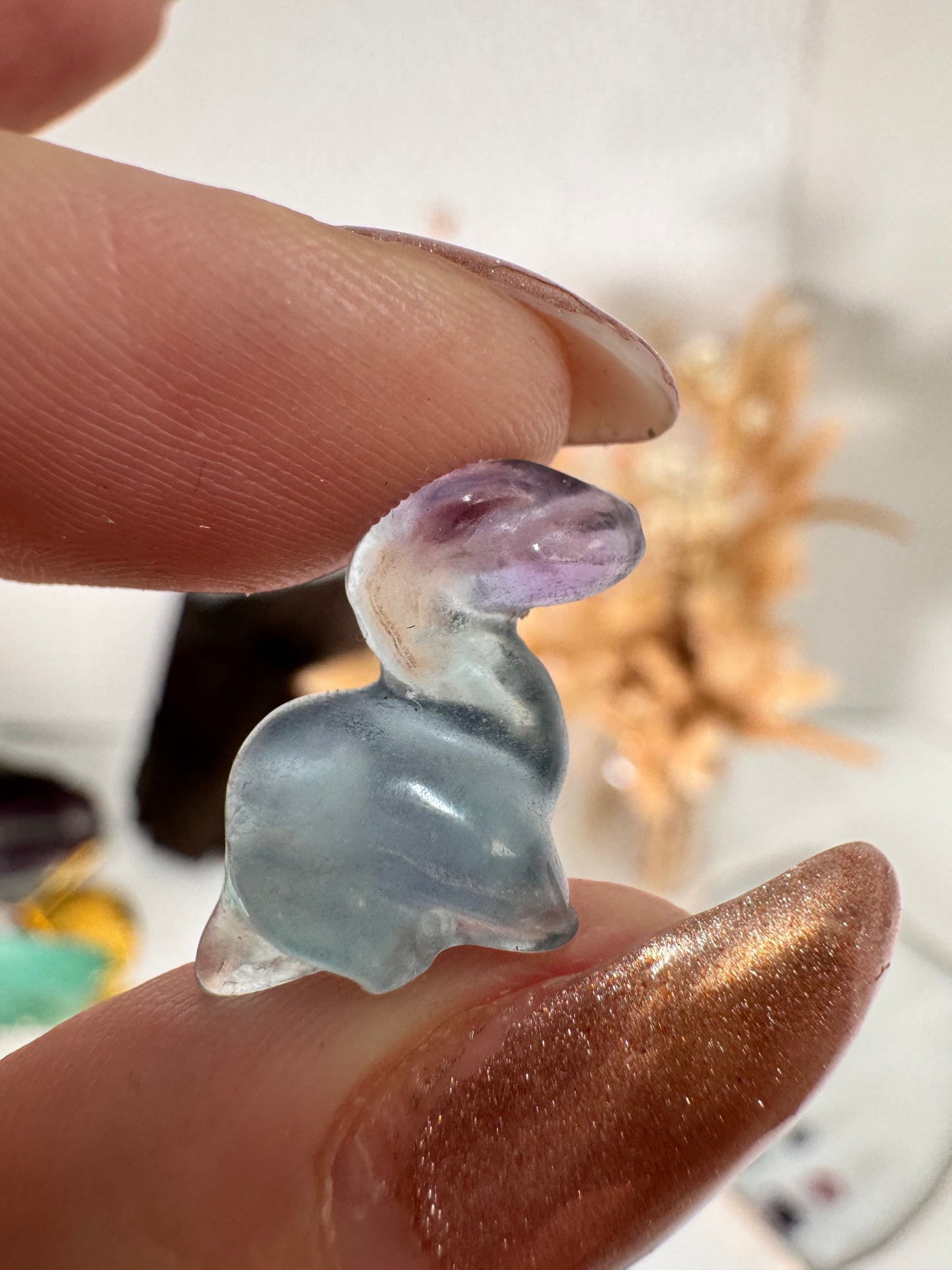 Mystery Mini Fluorit Dino Langhals