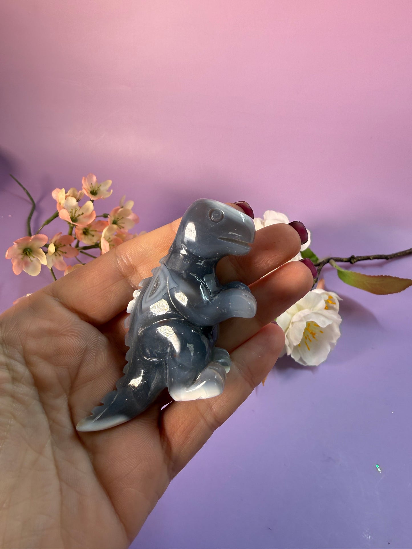 Orcha Achat Dino Nr. 42C
