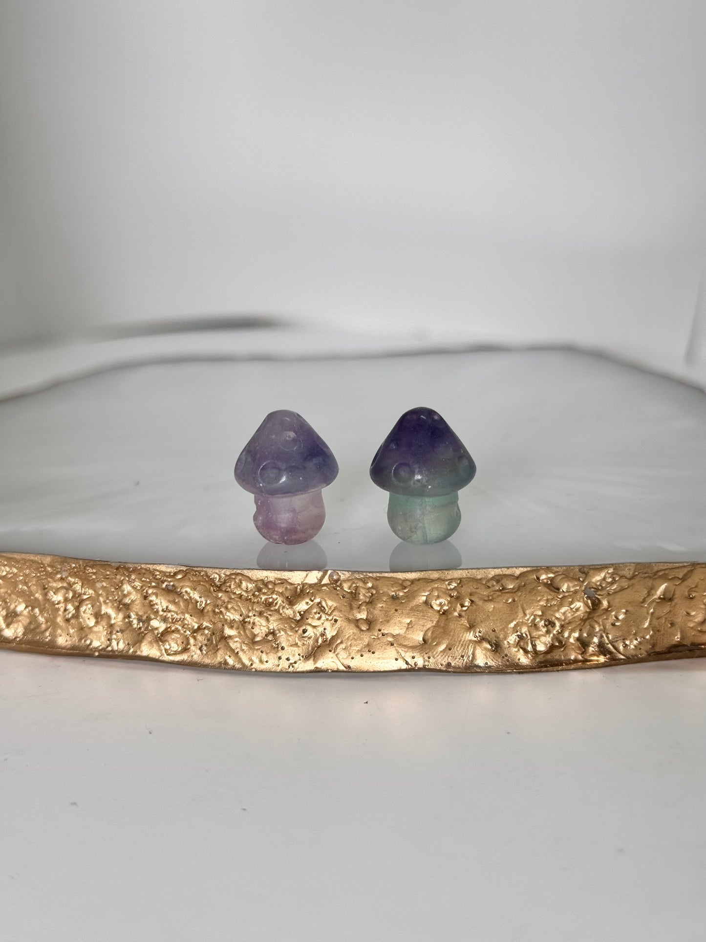 Mystery Mini Fluorit Pilz
