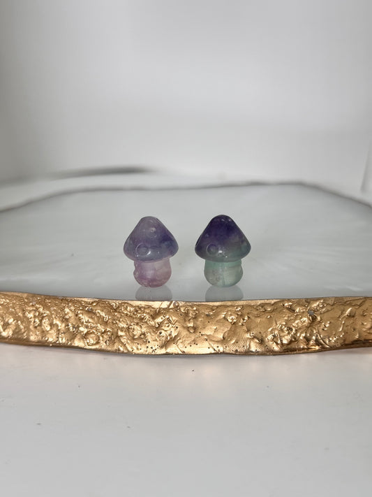 Mystery Mini Fluorit Pilz
