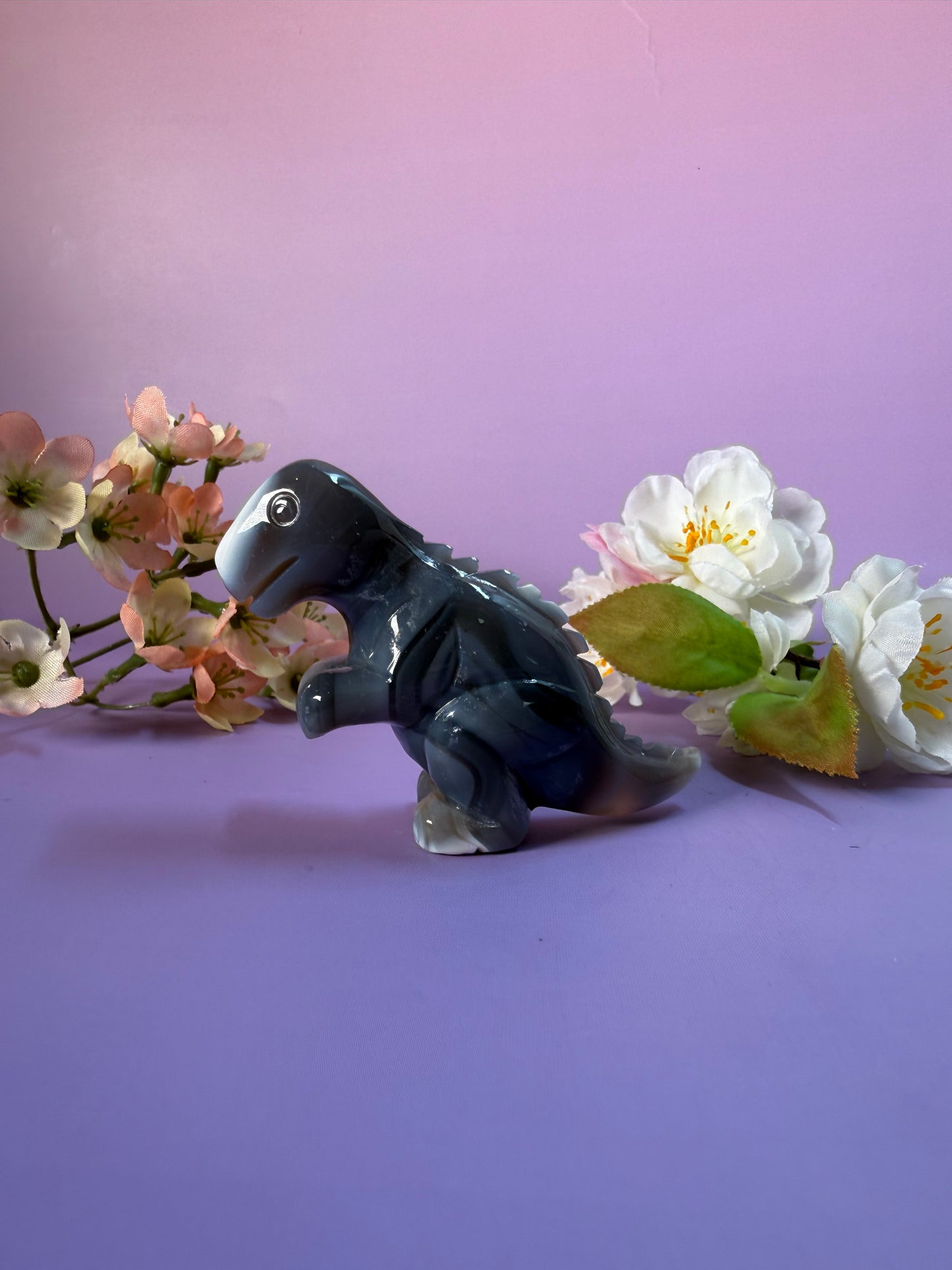 Orcha Achat Dino Nr. 42C