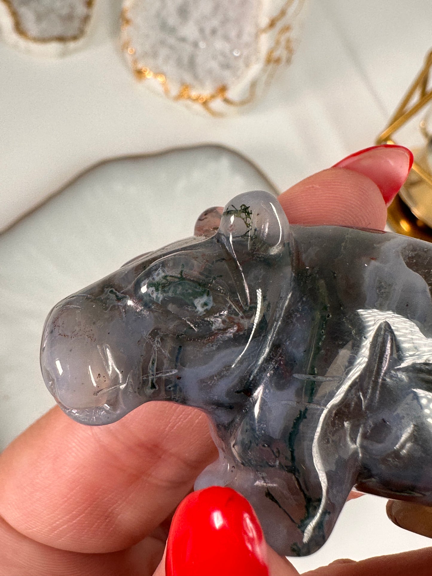 Moos Achat Hippo 28B