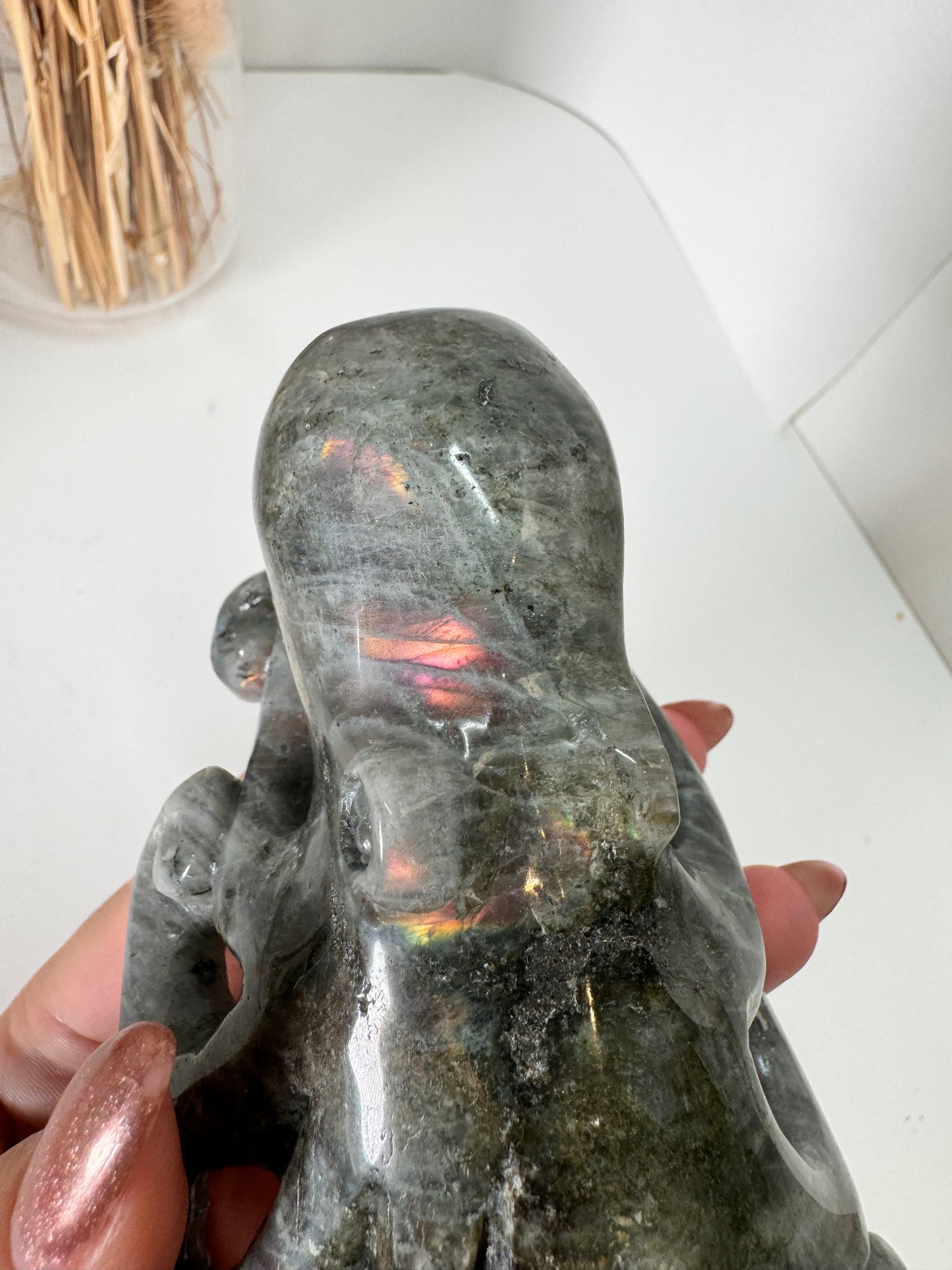 Labradorit Oktopus